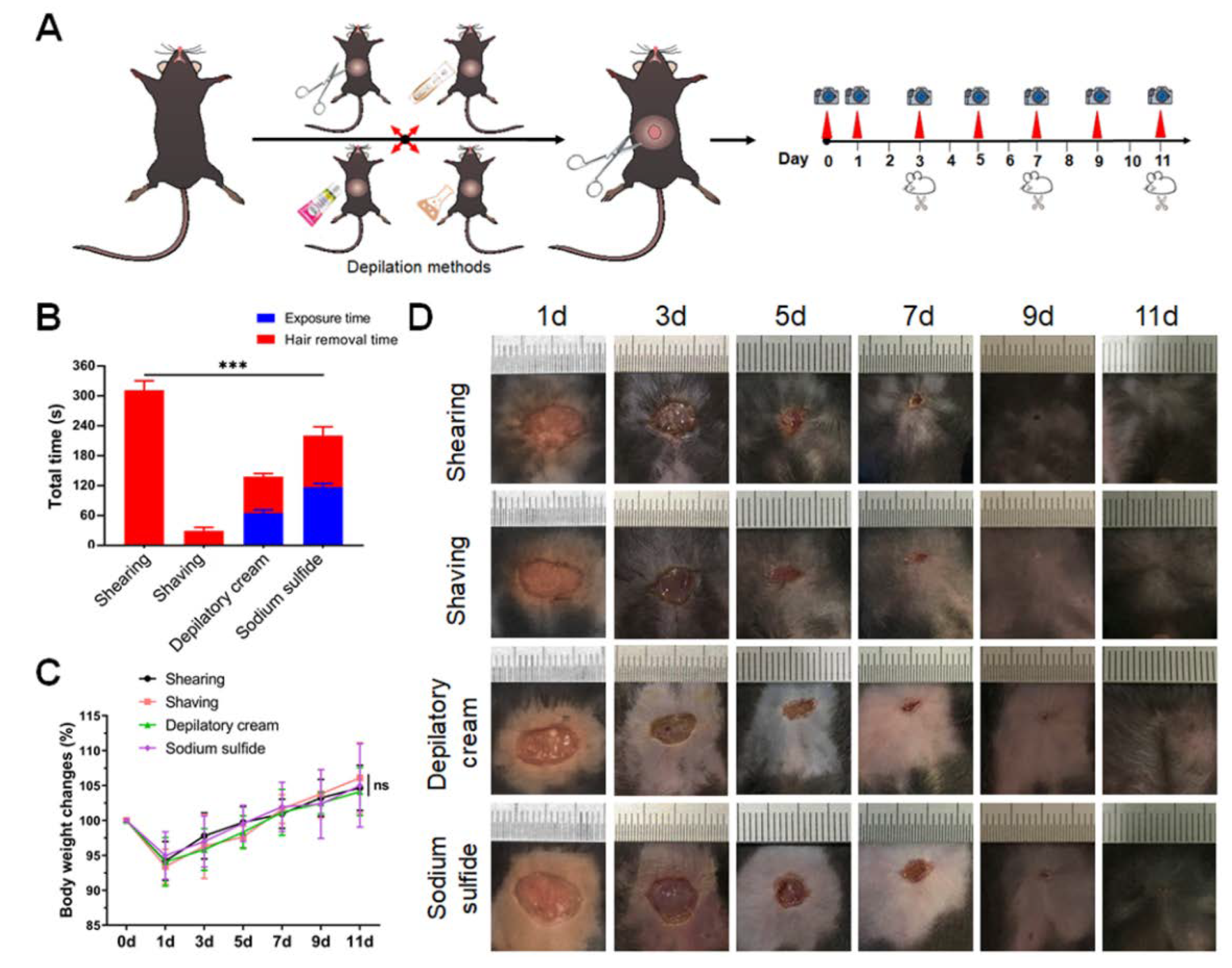 Animals 12 00581 g001