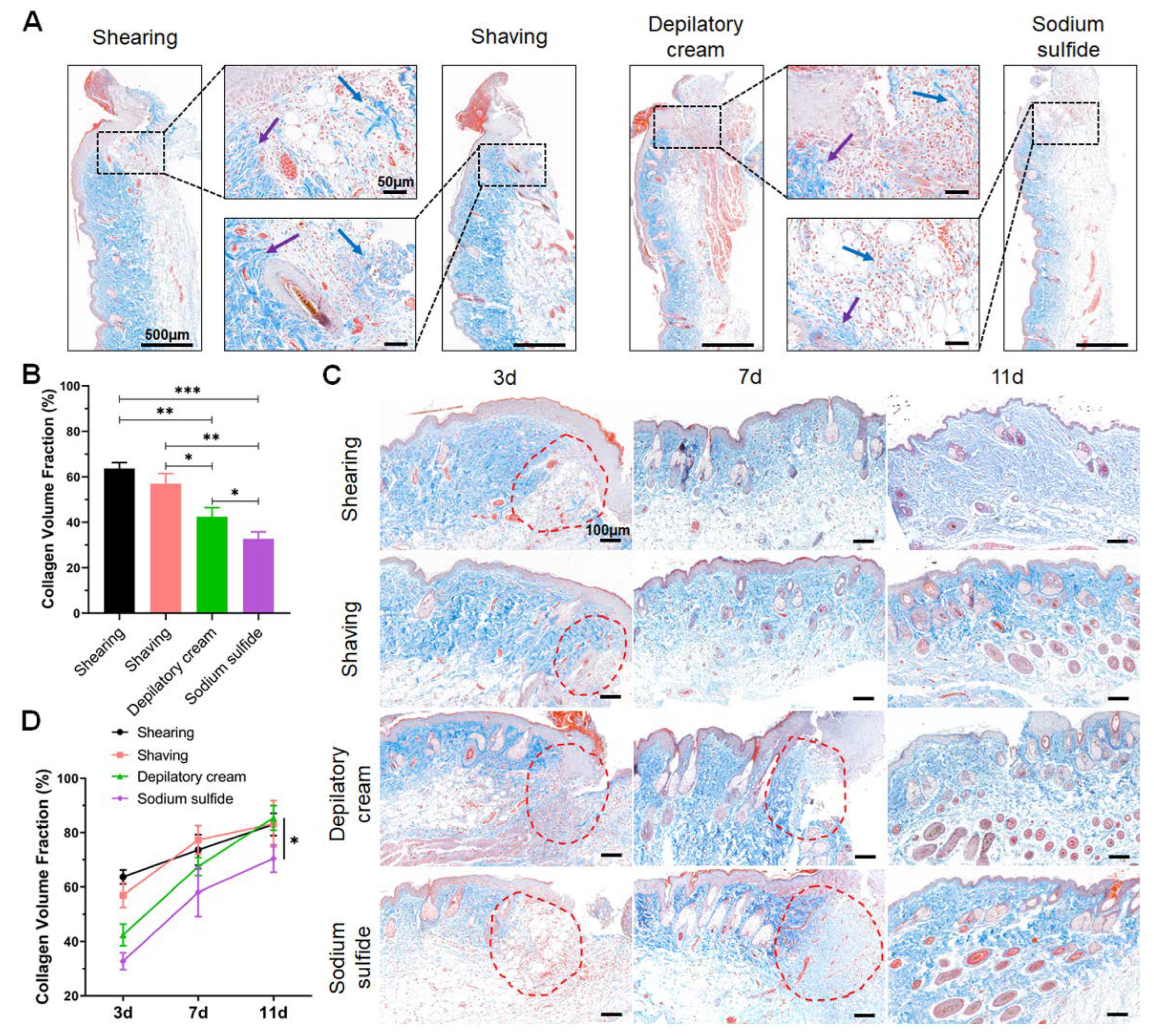 Animals 12 00581 g004