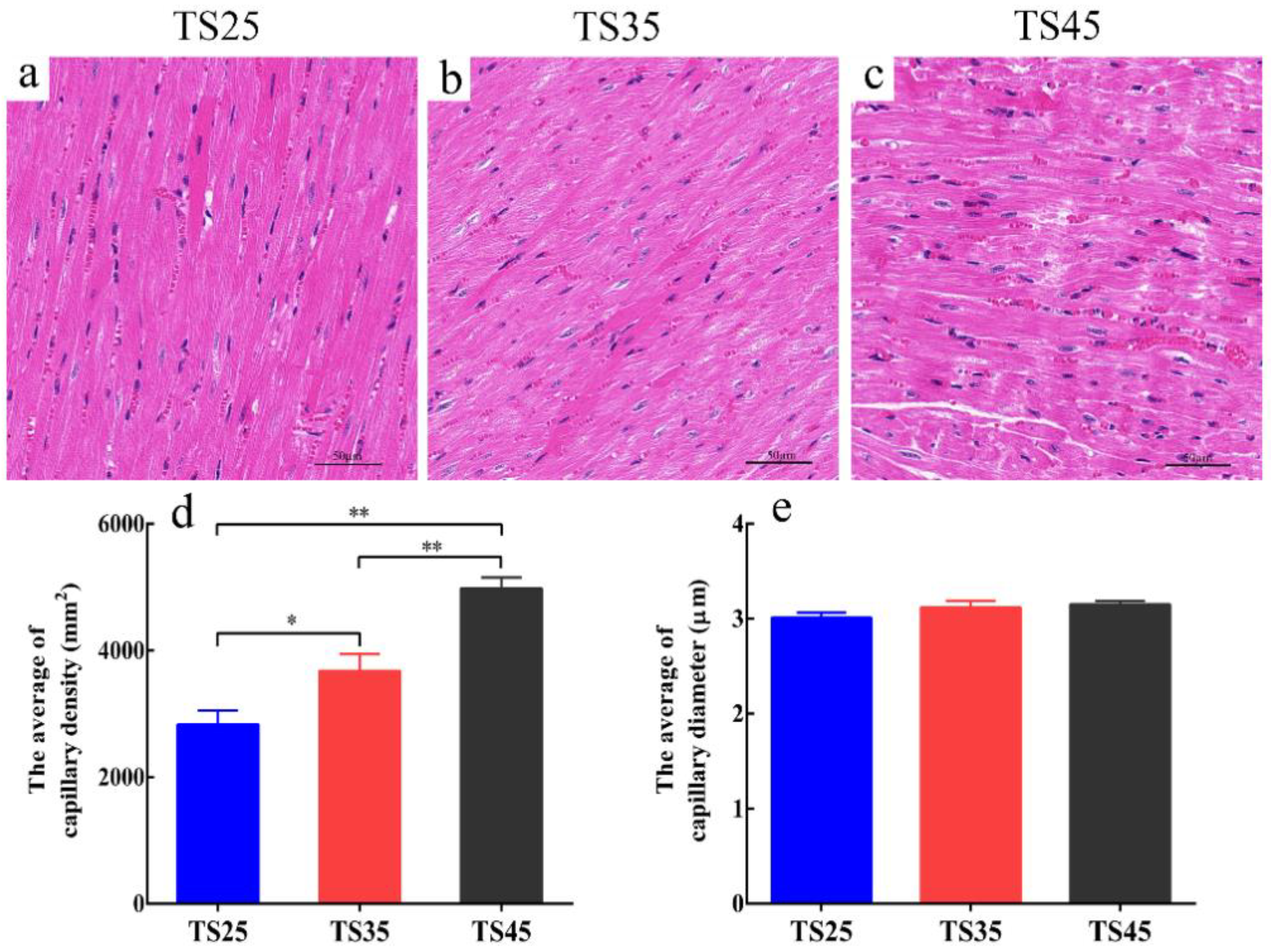Animals 12 00583 g001