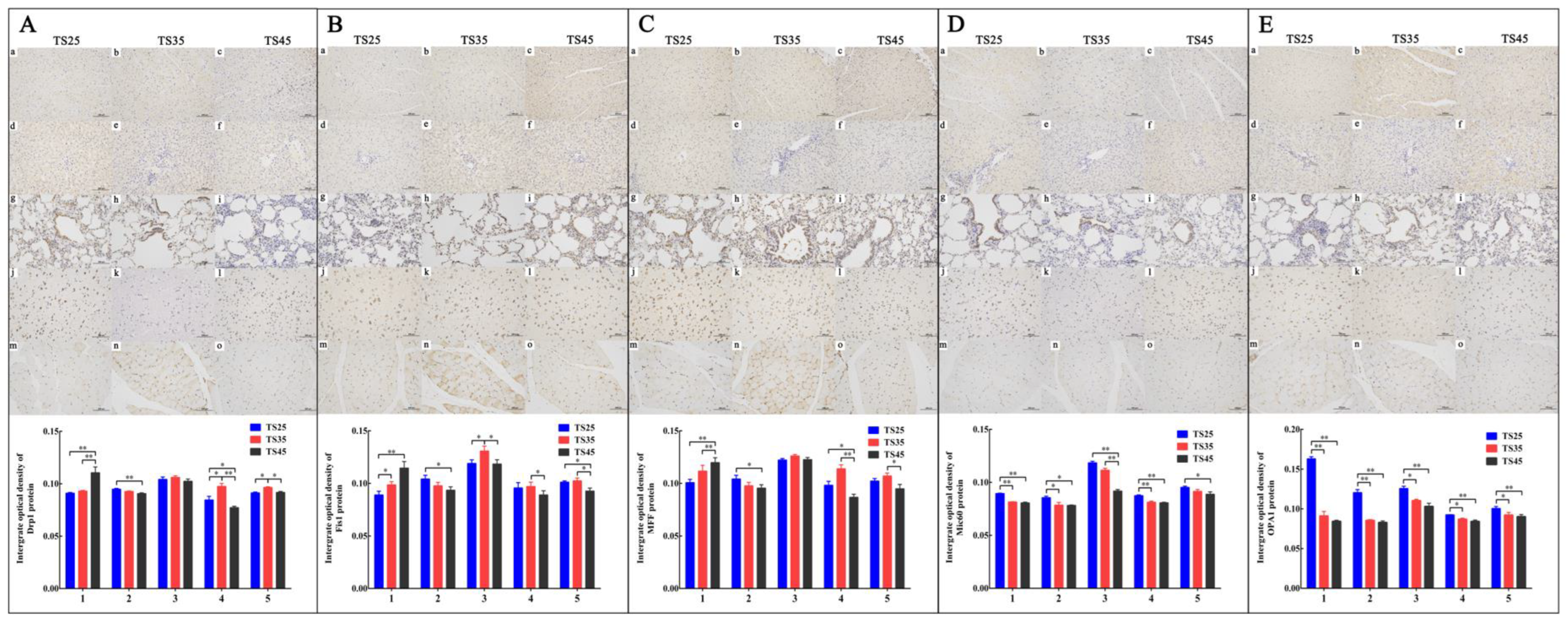 Animals 12 00583 g007