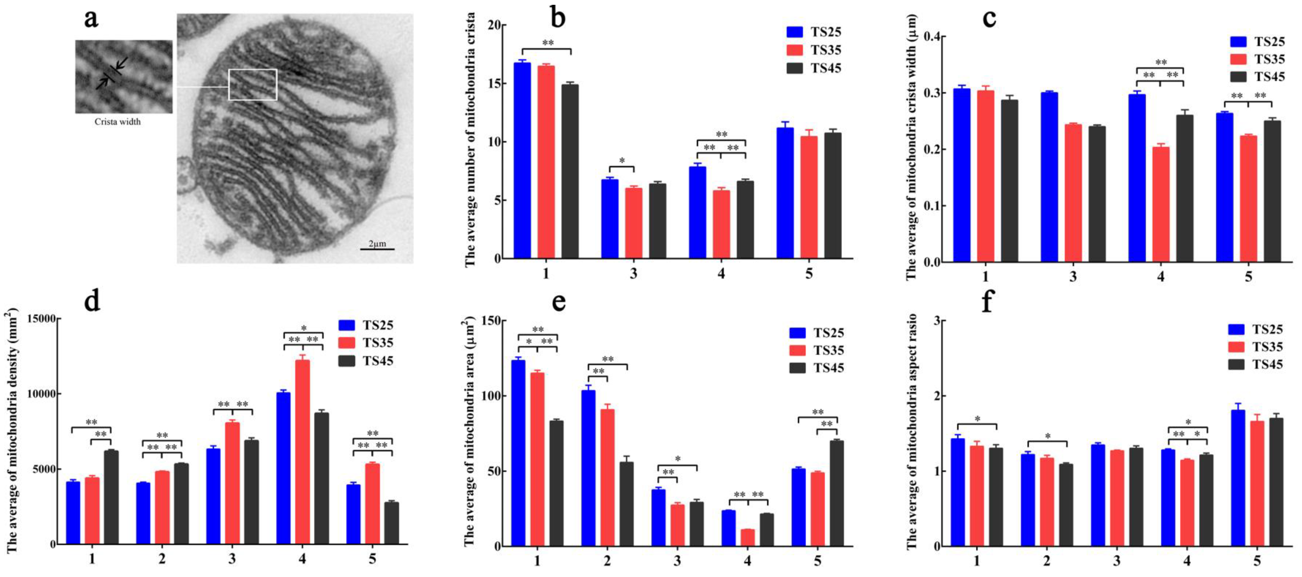 Animals 12 00583 g009
