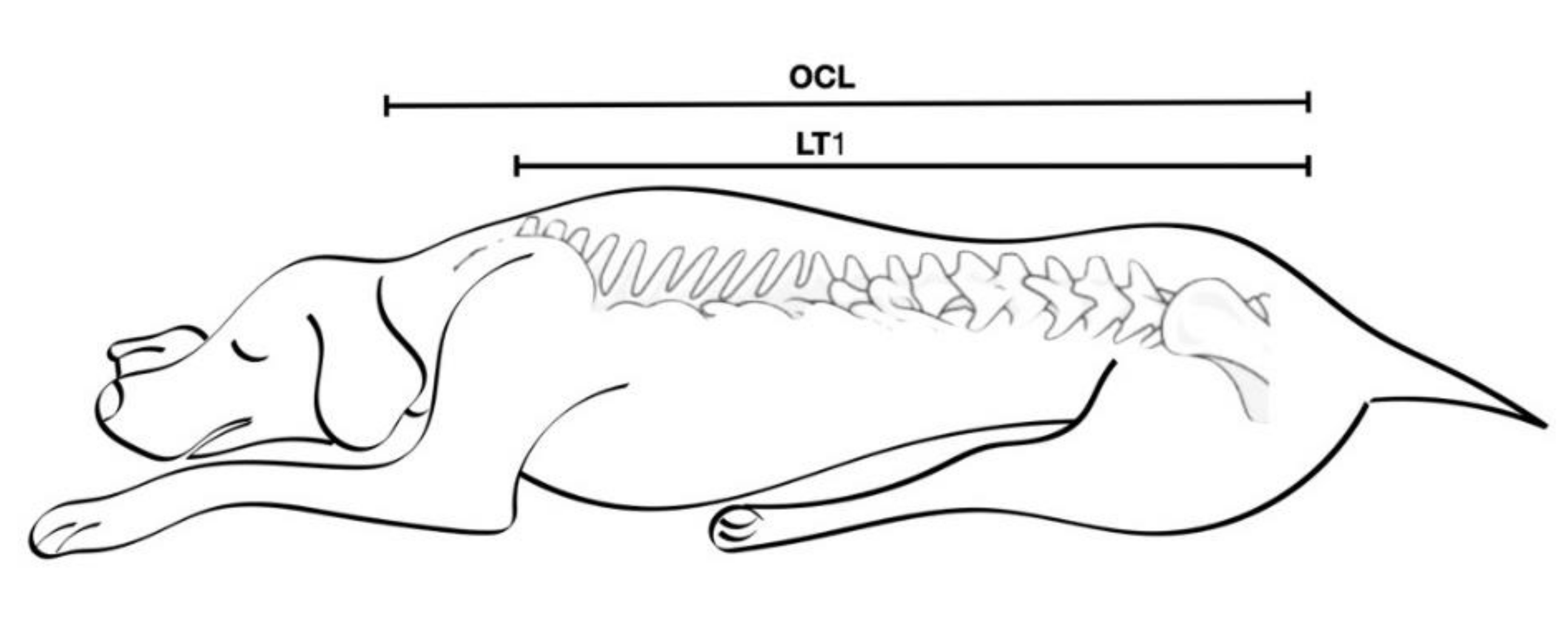 Animals 12 00587 g001 Animals 12 00587 g001