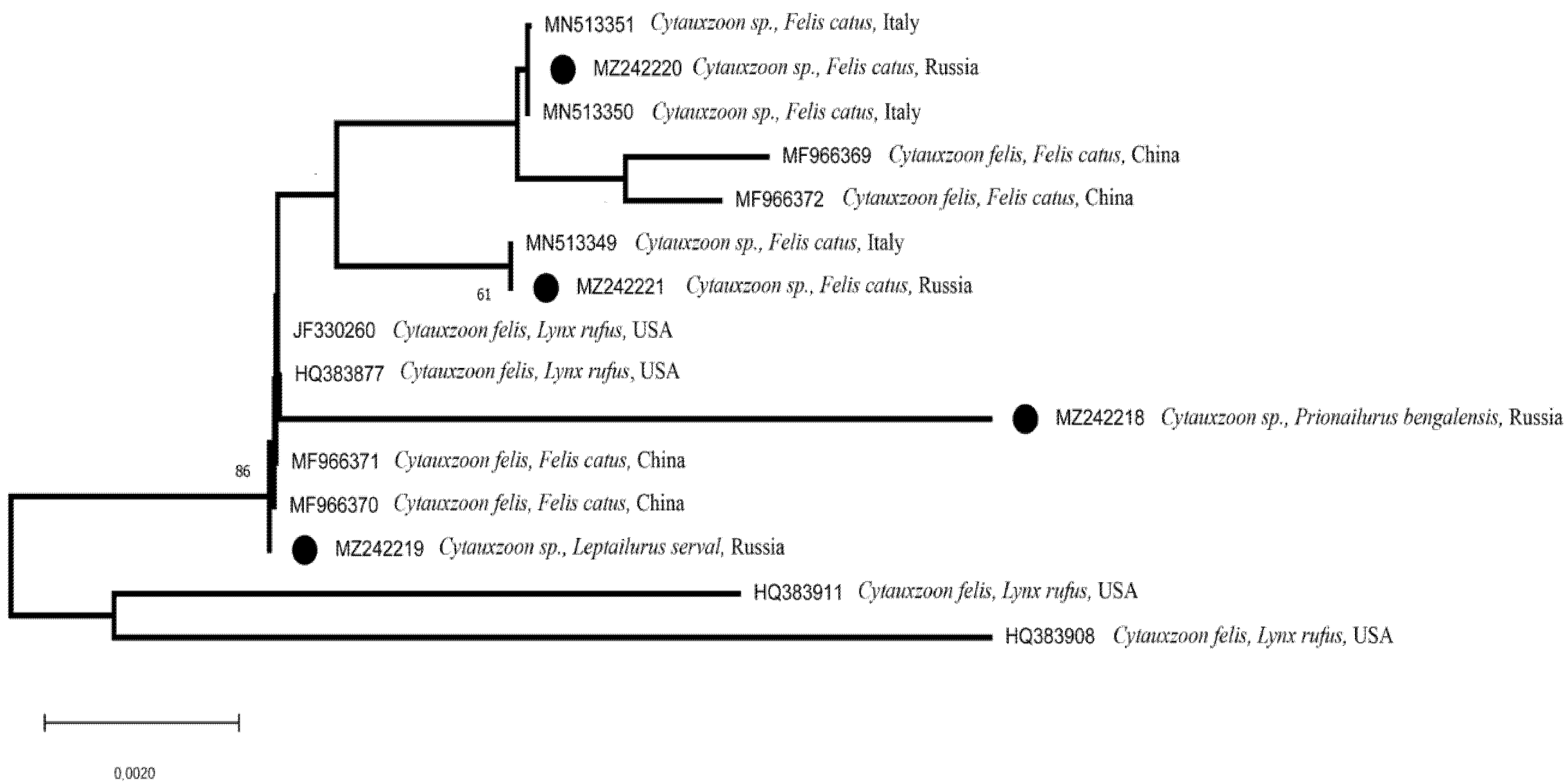 Animals 12 00593 g005 Animals 12 00593 g005