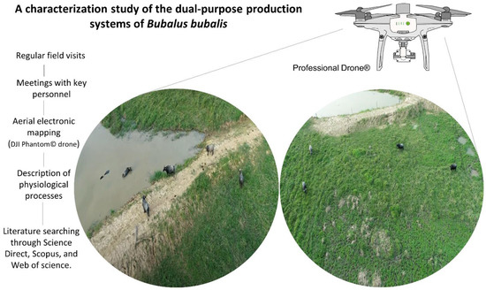 Handling and Physiological Aspects of the Dual-Purpose Water 