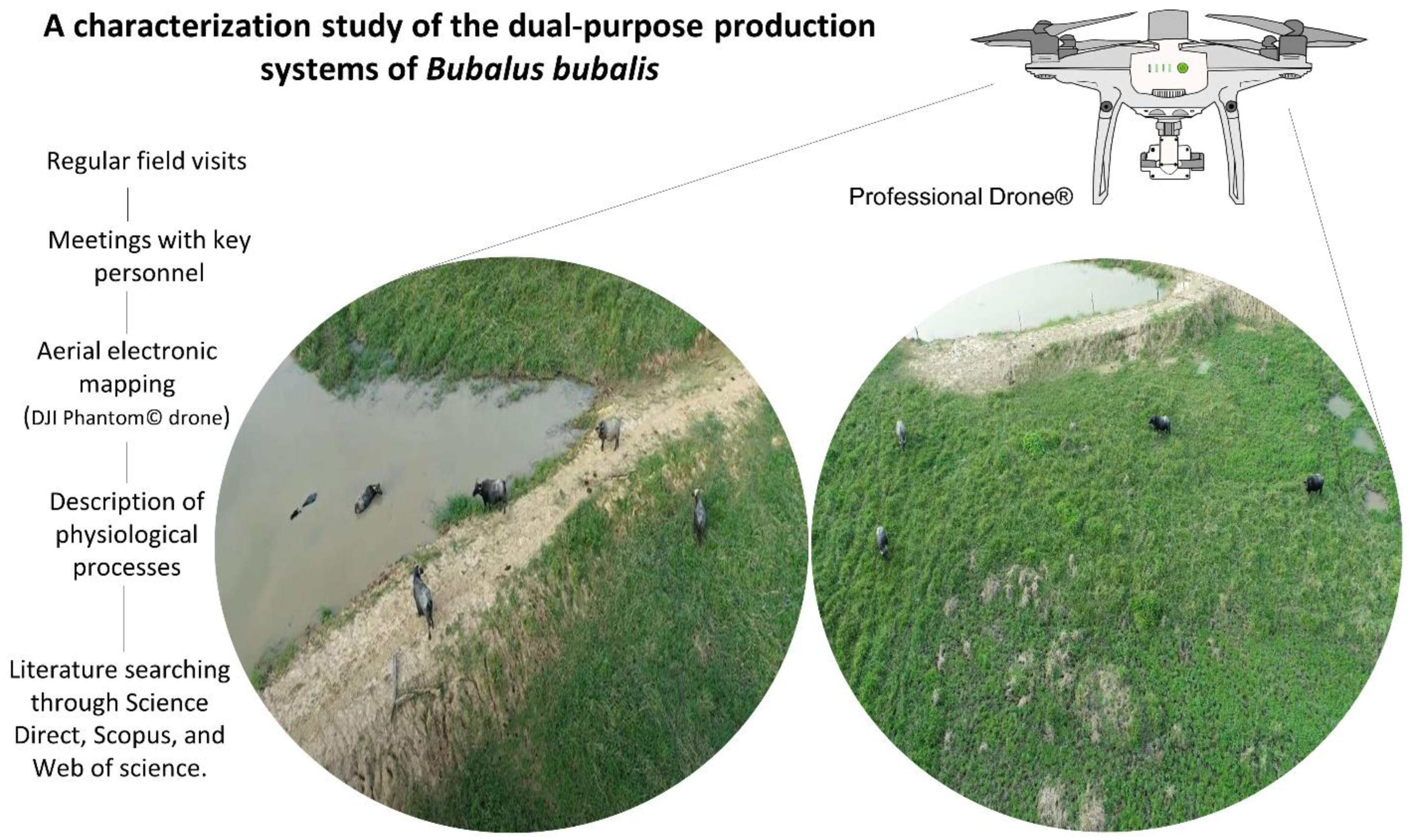 Handling and Physiological Aspects of the Dual-Purpose Water 