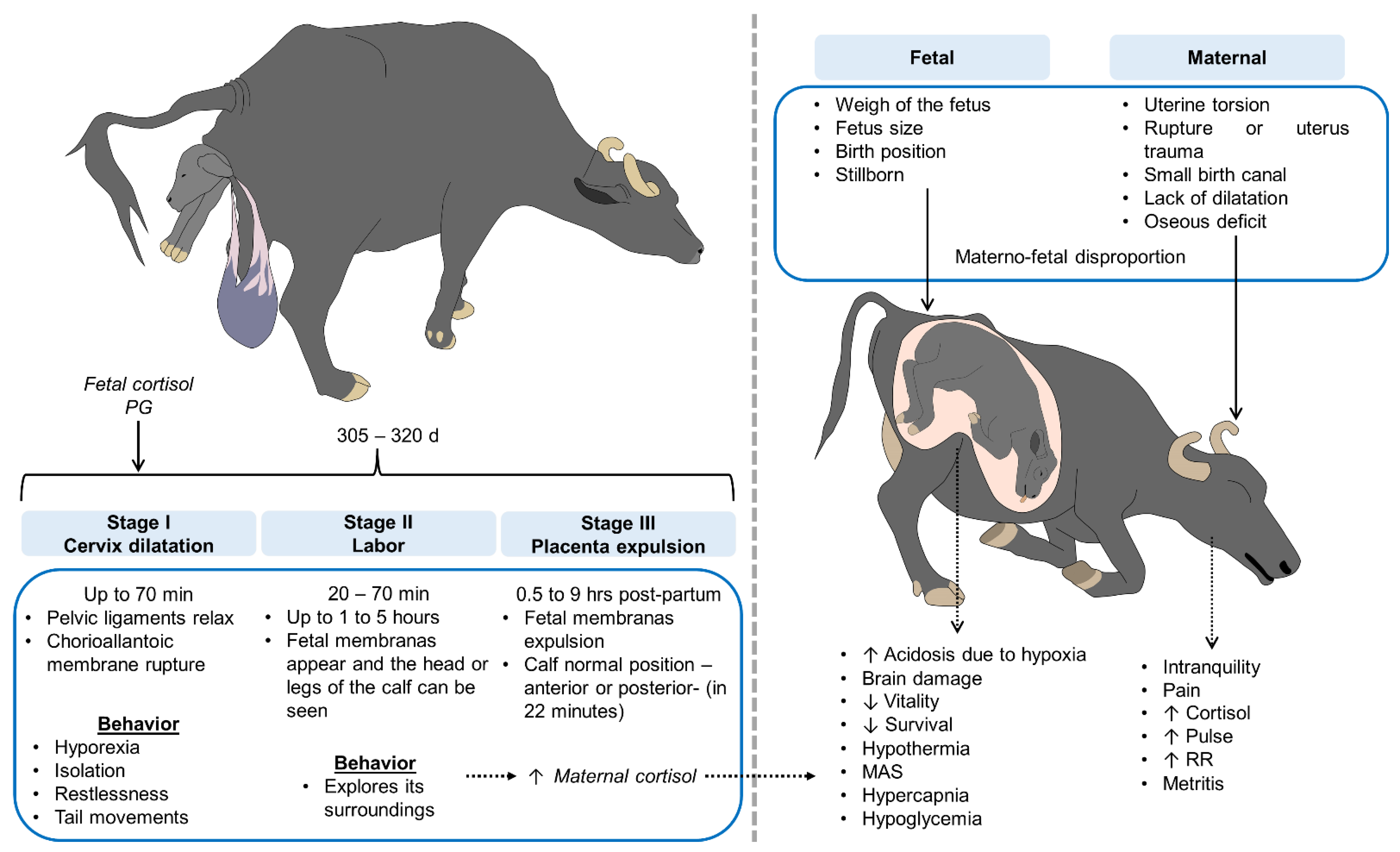 Animals 12 00608 g004 Animals 12 00608 g004