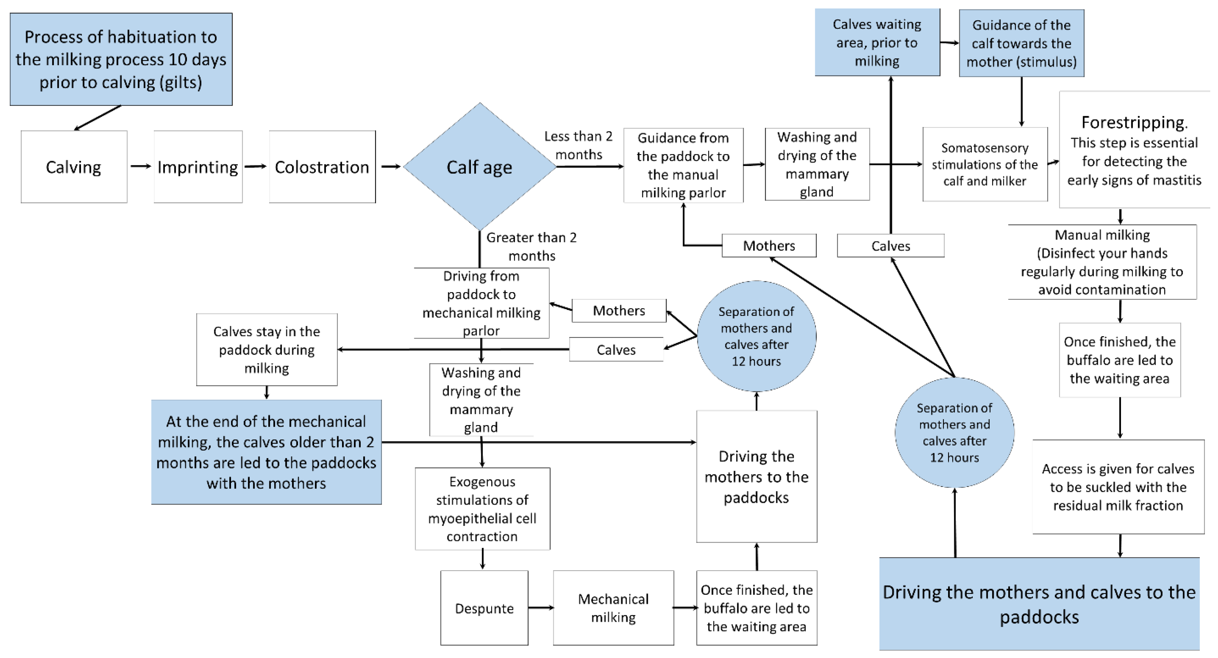 Animals 12 00608 g008 Animals 12 00608 g008