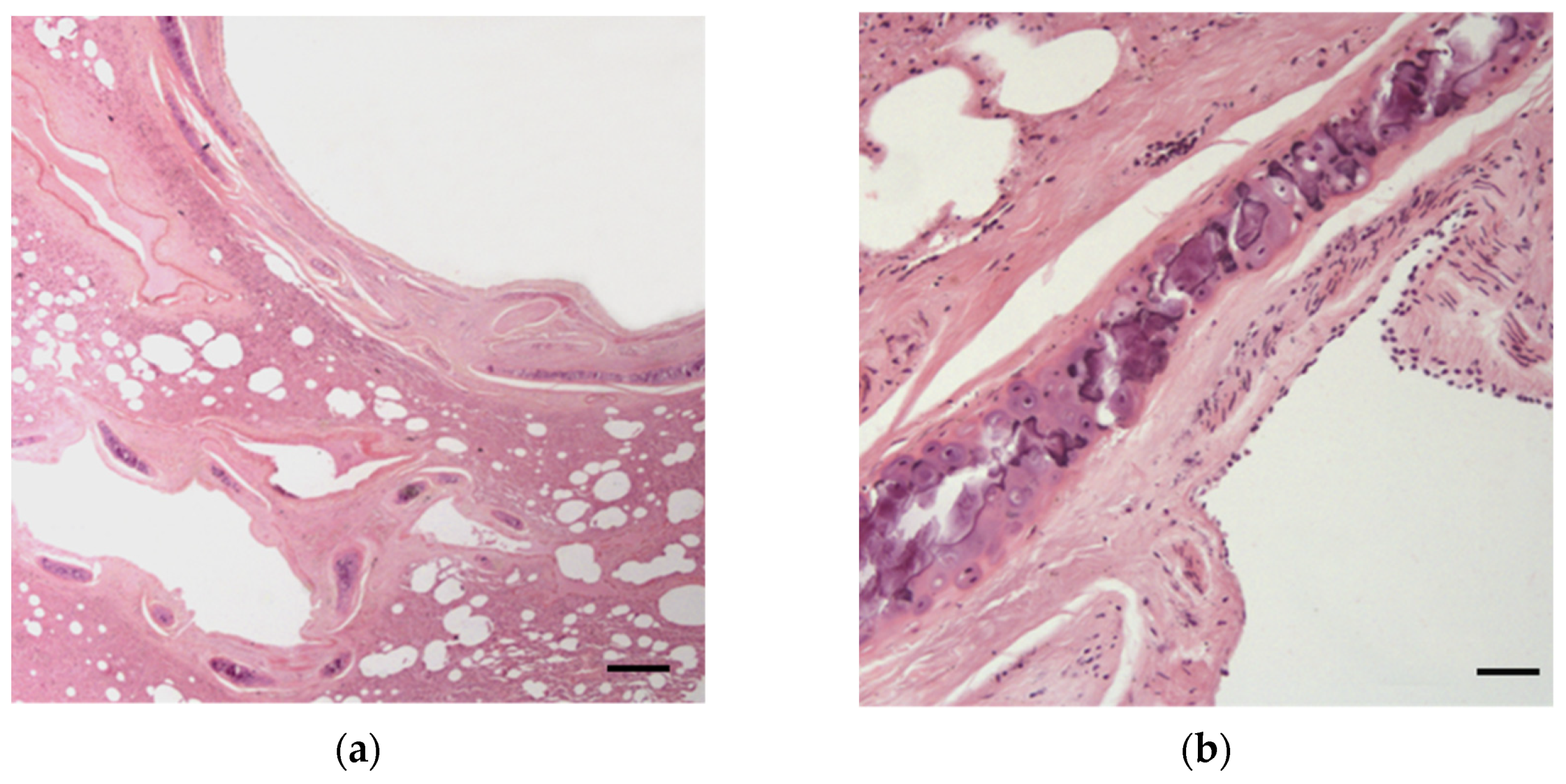 Animals 12 00609 g007 Animals 12 00609 g007