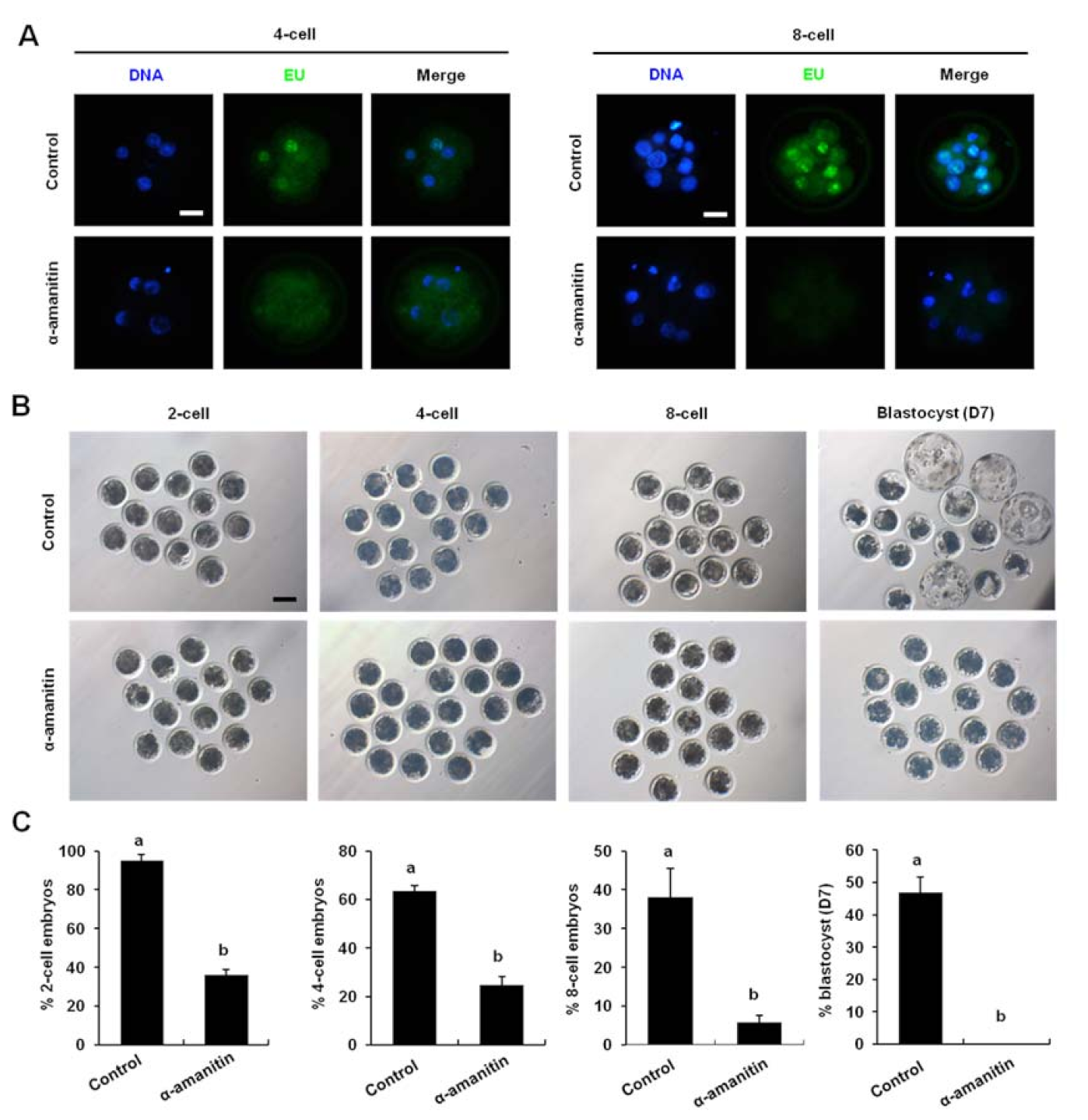 Animals 12 00610 g003 Animals 12 00610 g003
