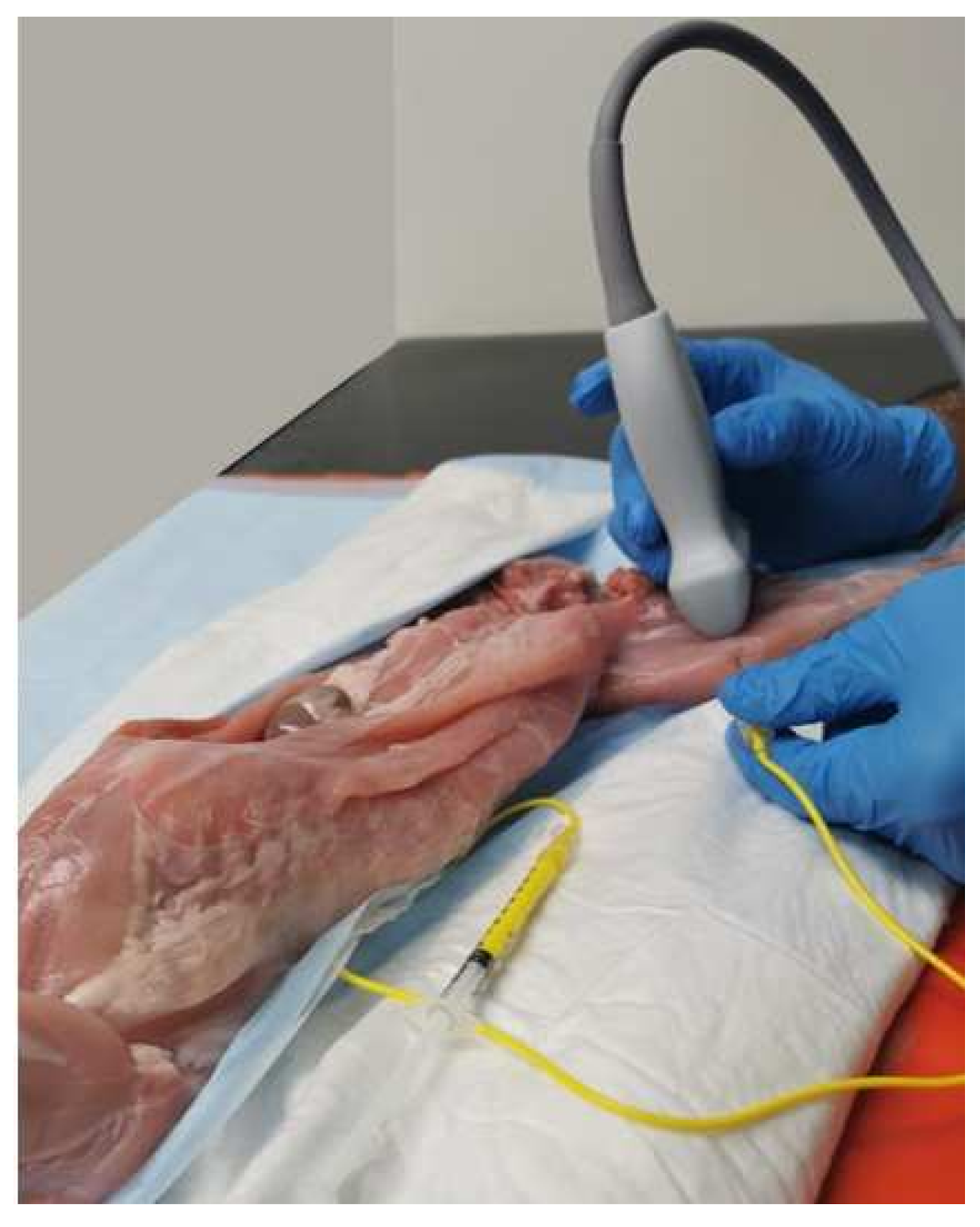 Animals 12 00624 g002 550