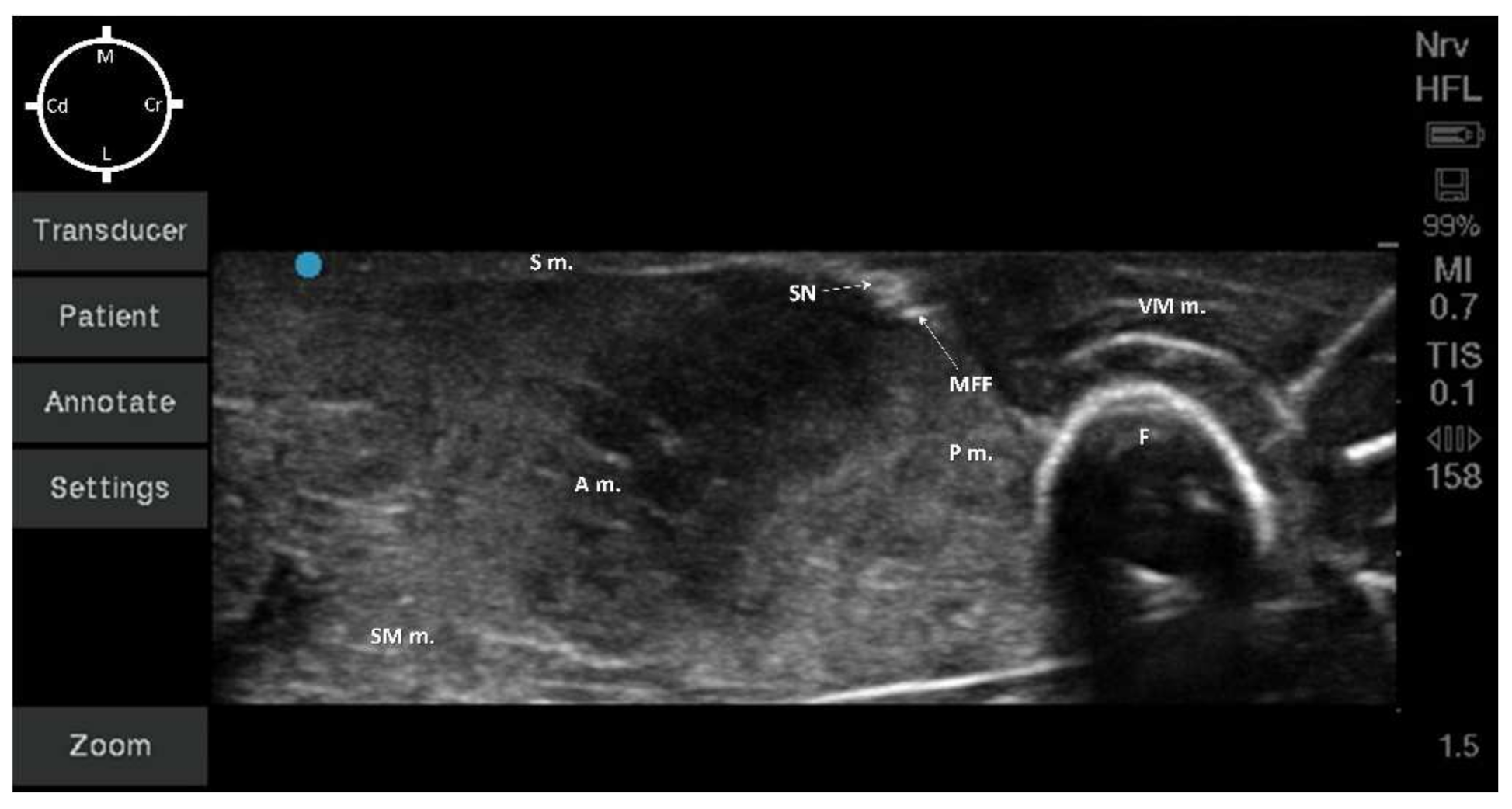 Animals 12 00624 g004 550