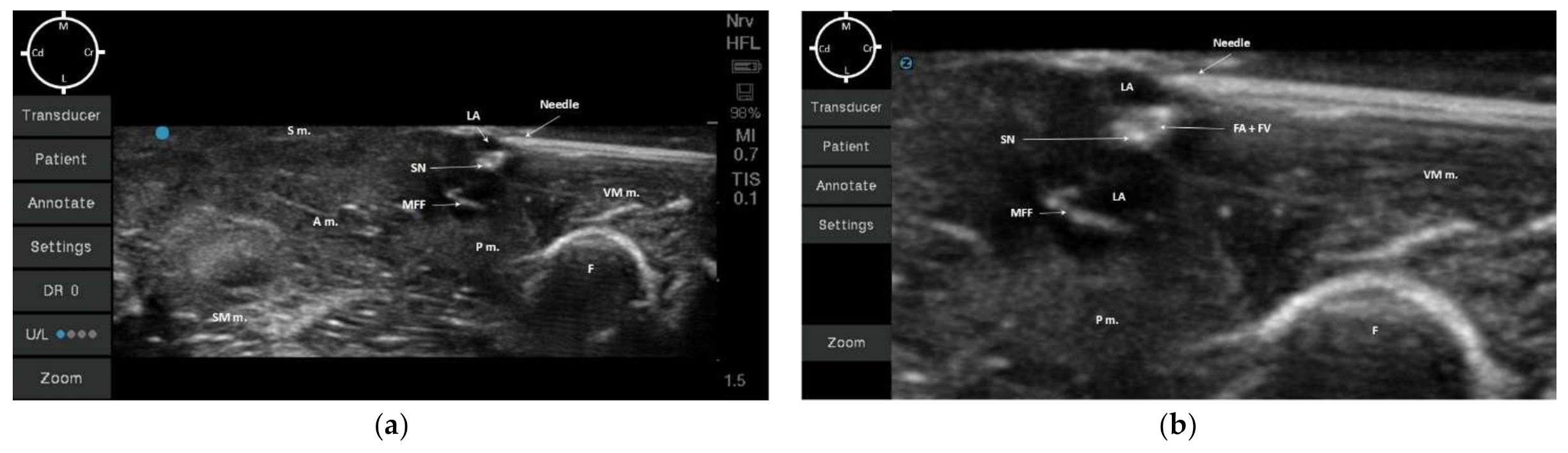 Animals 12 00624 g005 550