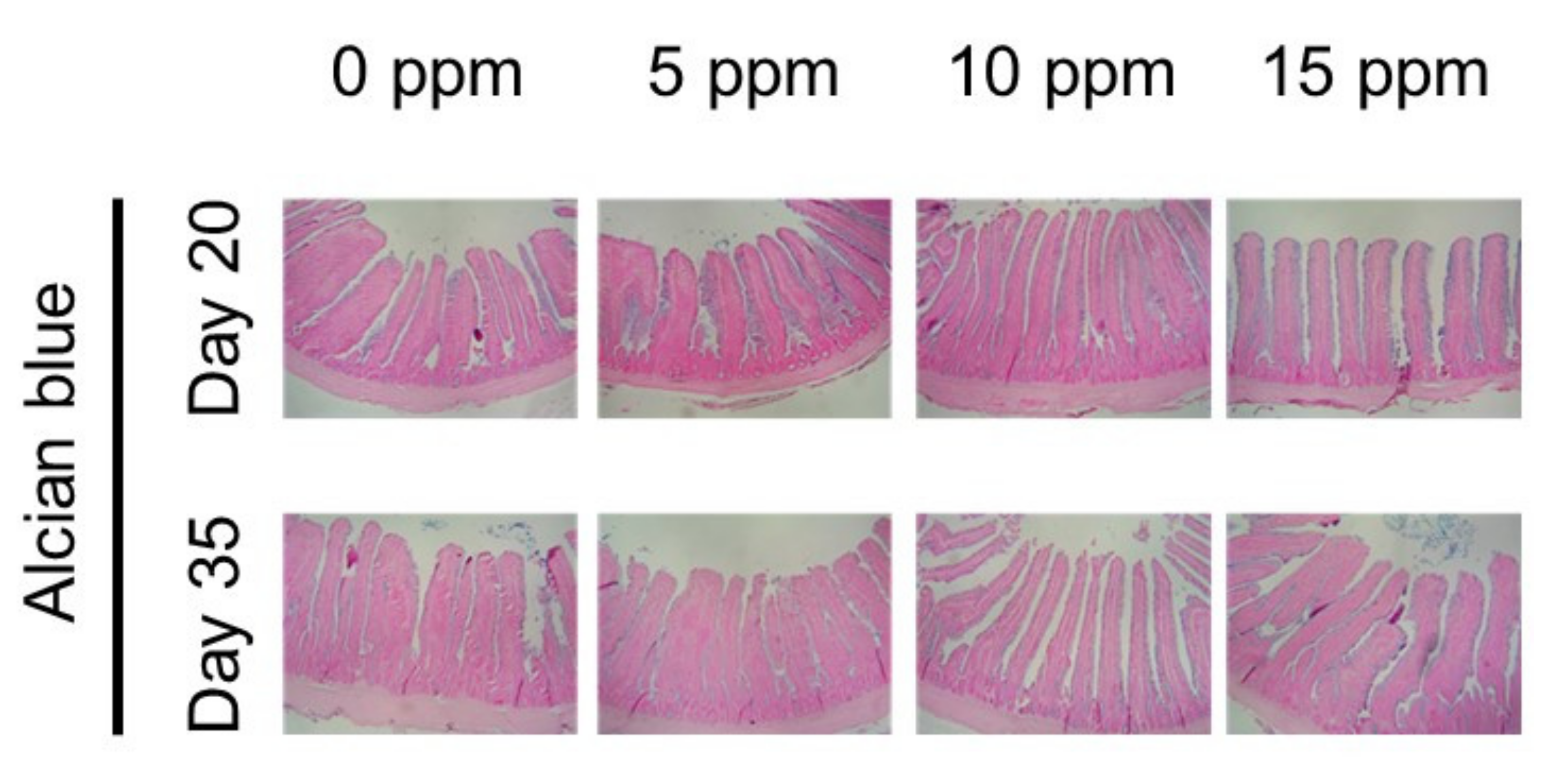 Animals 12 00635 g001