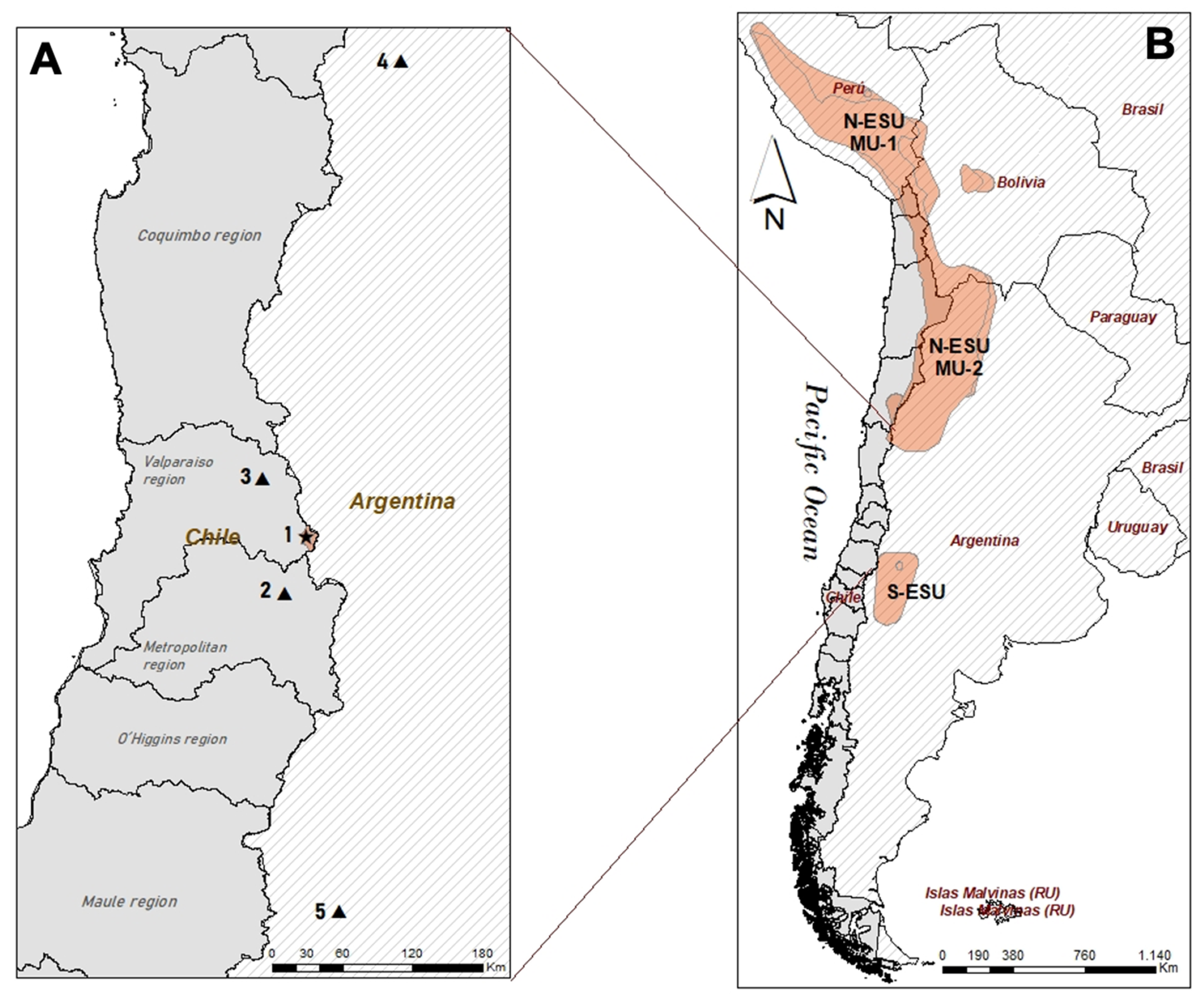 Animals 12 00639 g001 550