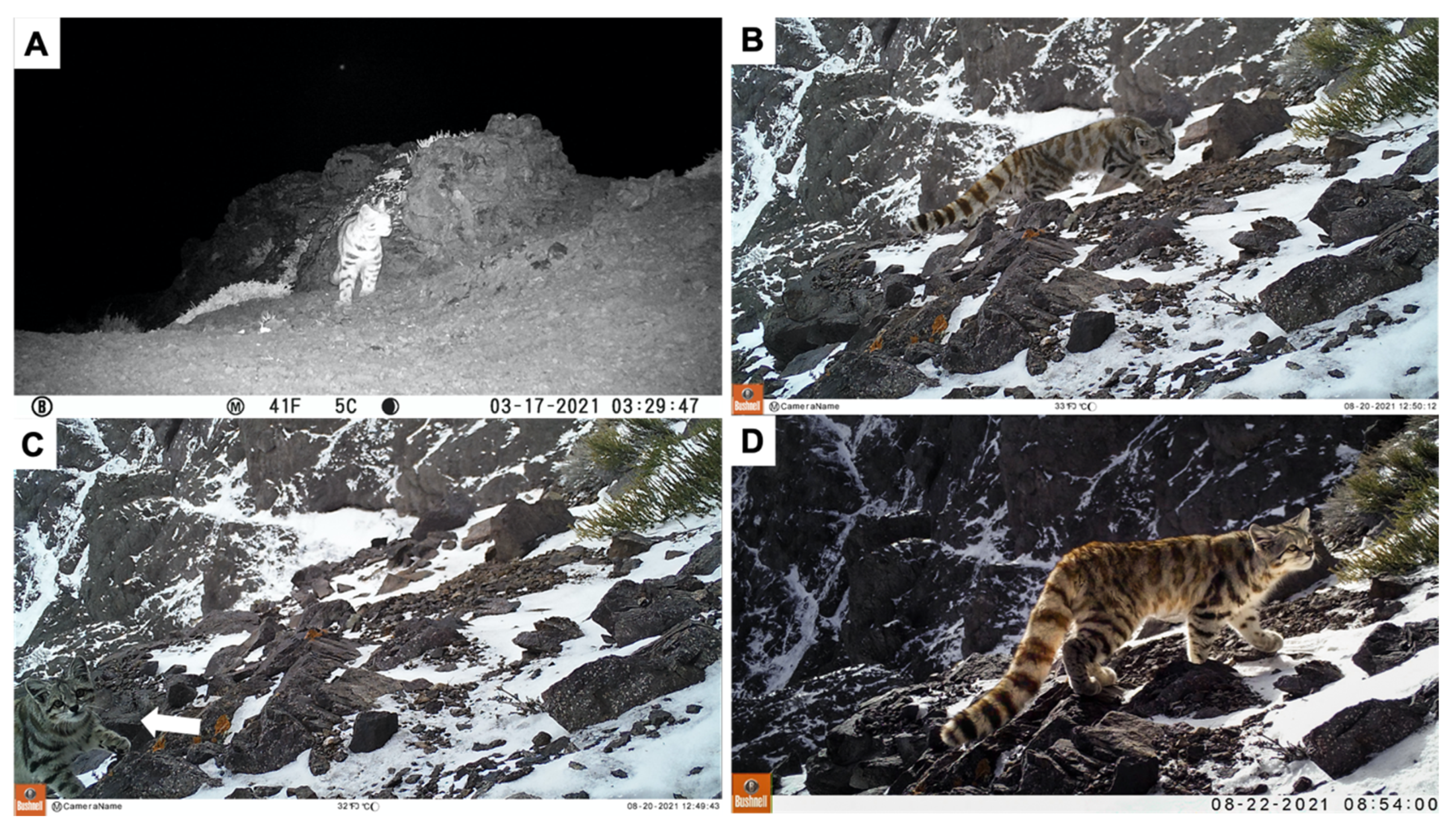 Animals 12 00639 g002 550