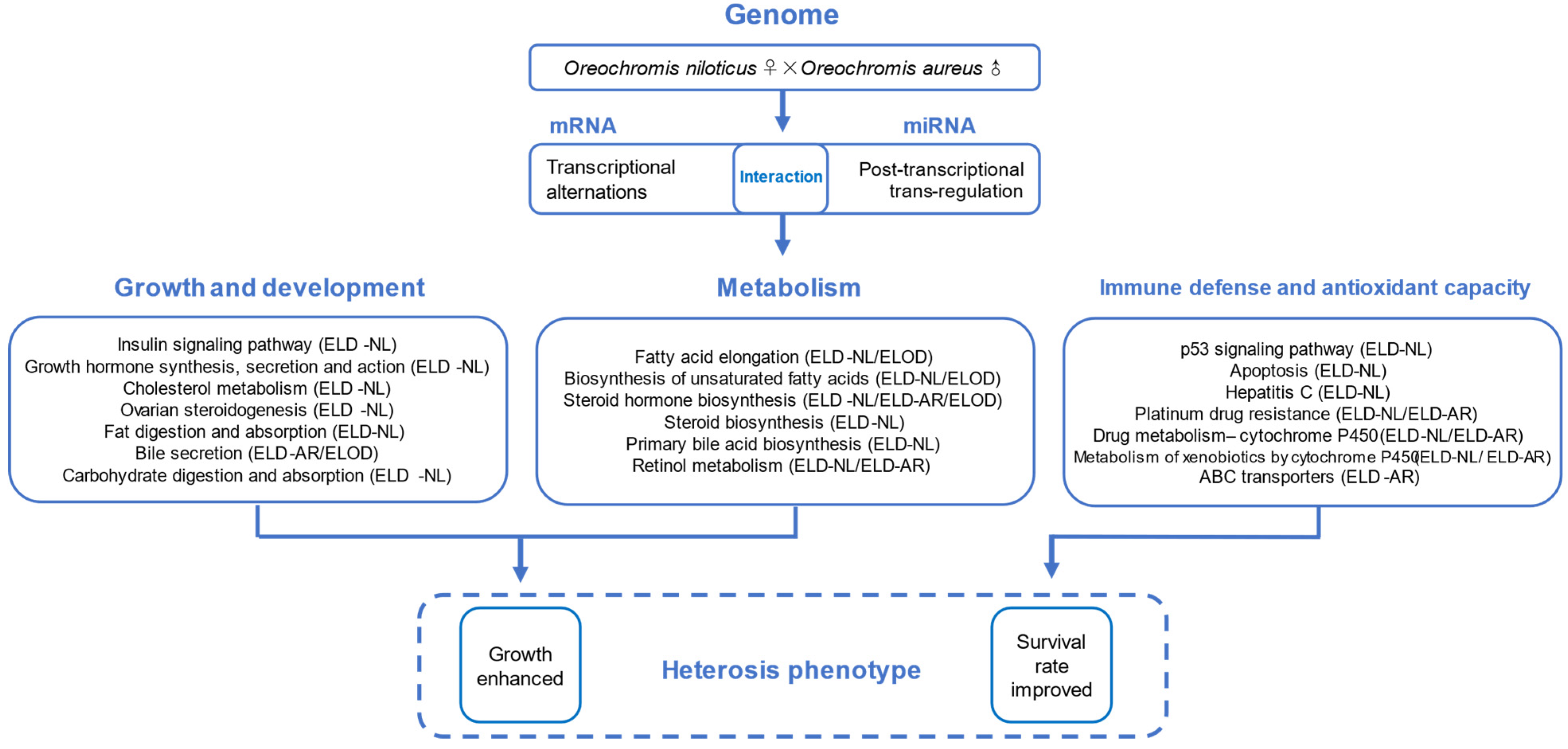 Animals 12 00640 g013 550