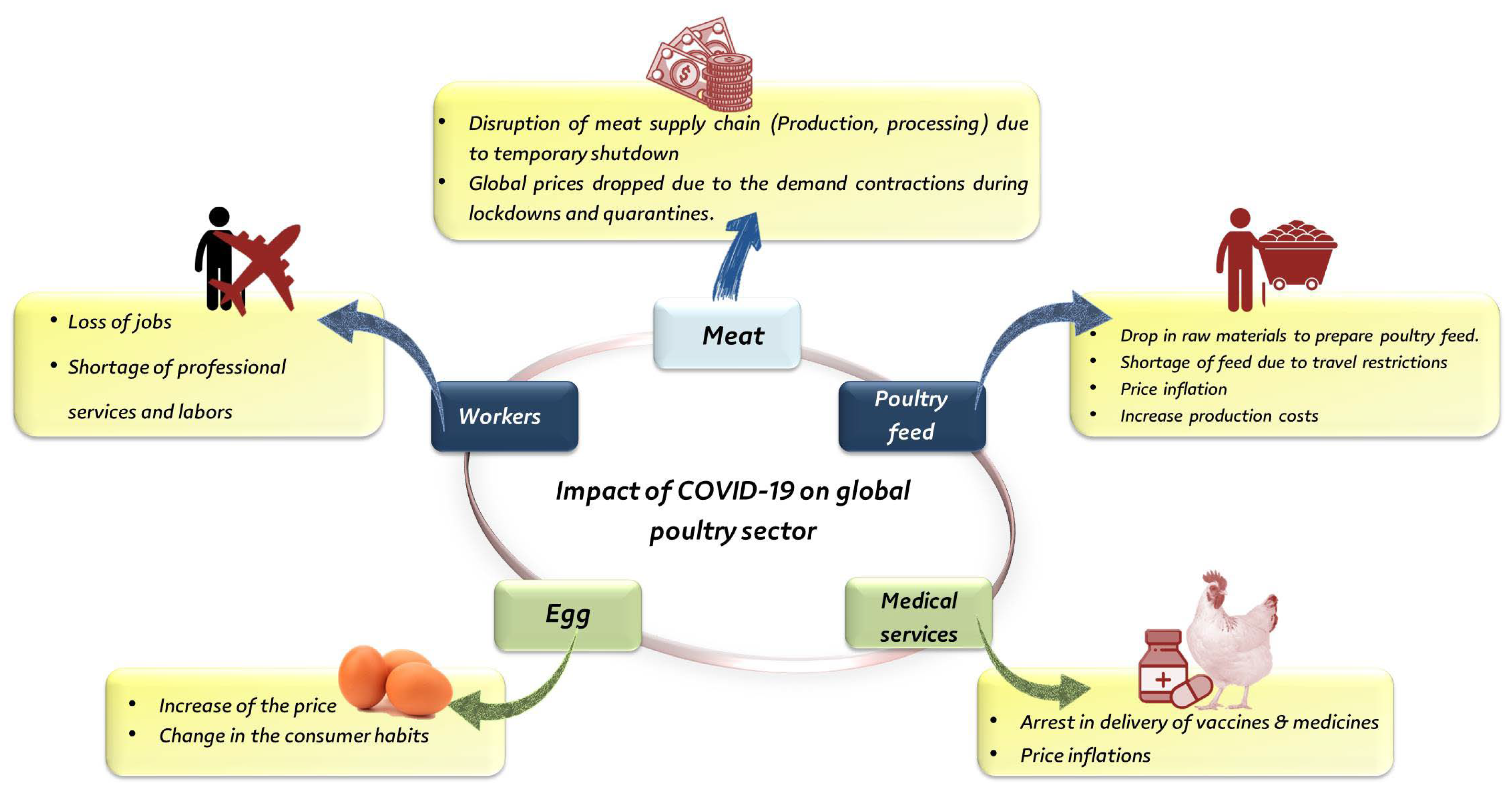 Animals | Free Full-Text | Poultry Production and Sustainability in Developing Countries under the COVID-19 Crisis: Lessons Learned Animals | Free Full-Text | Poultry Production and Sustainability in Developing Countries under the COVID-19 Crisis: Lessons Learned