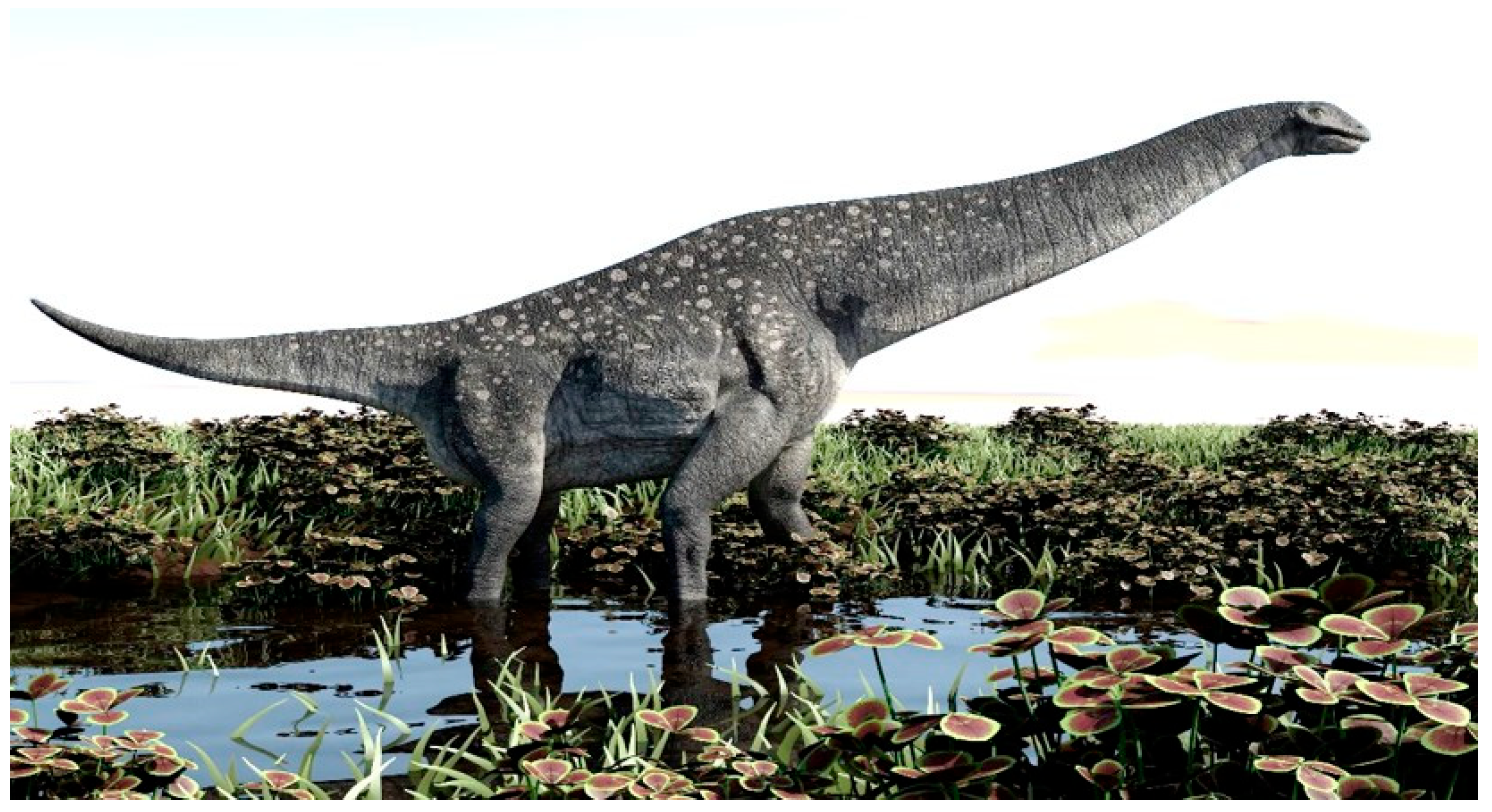 Animals 12 00657 g001