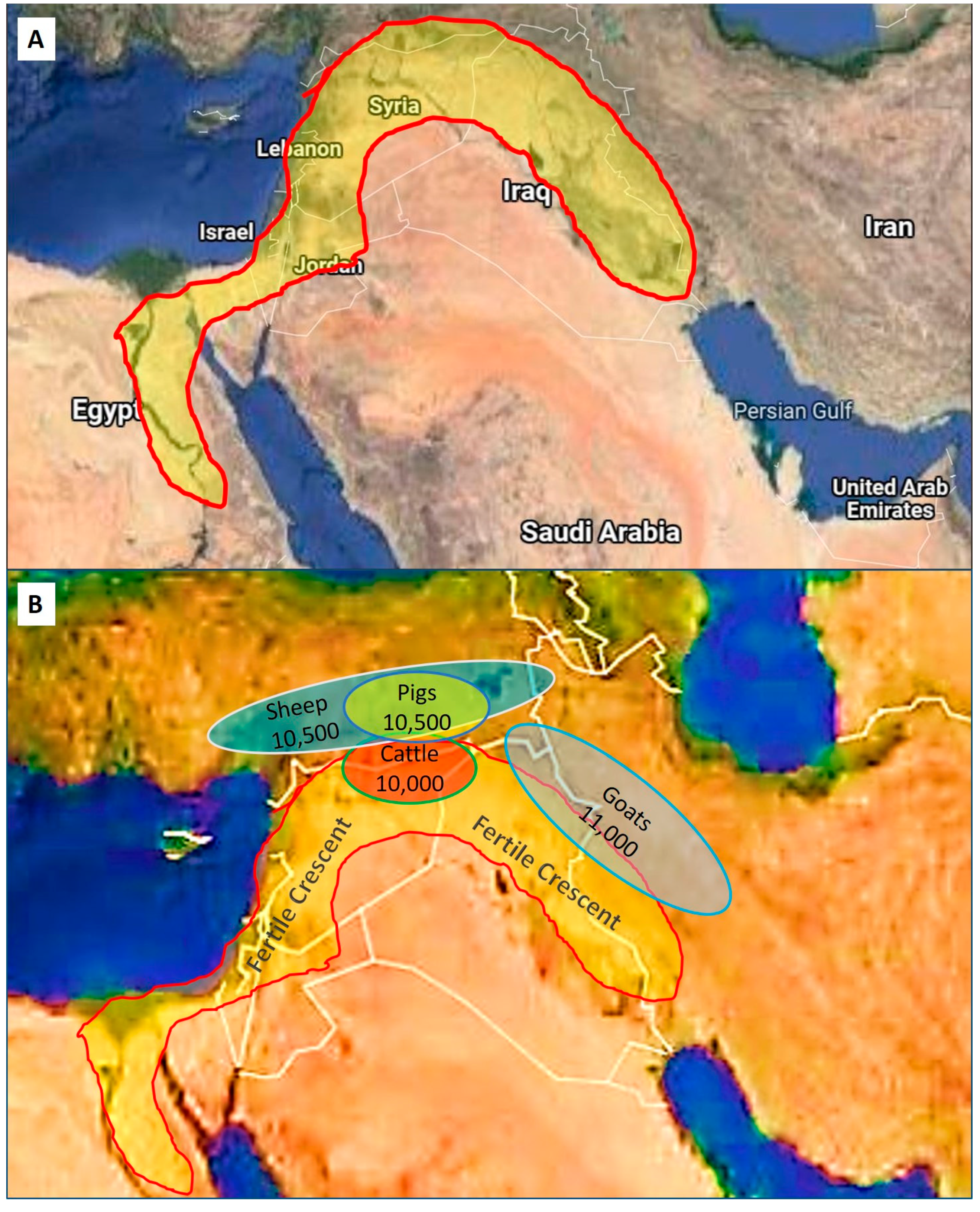 Animals 12 00657 g002