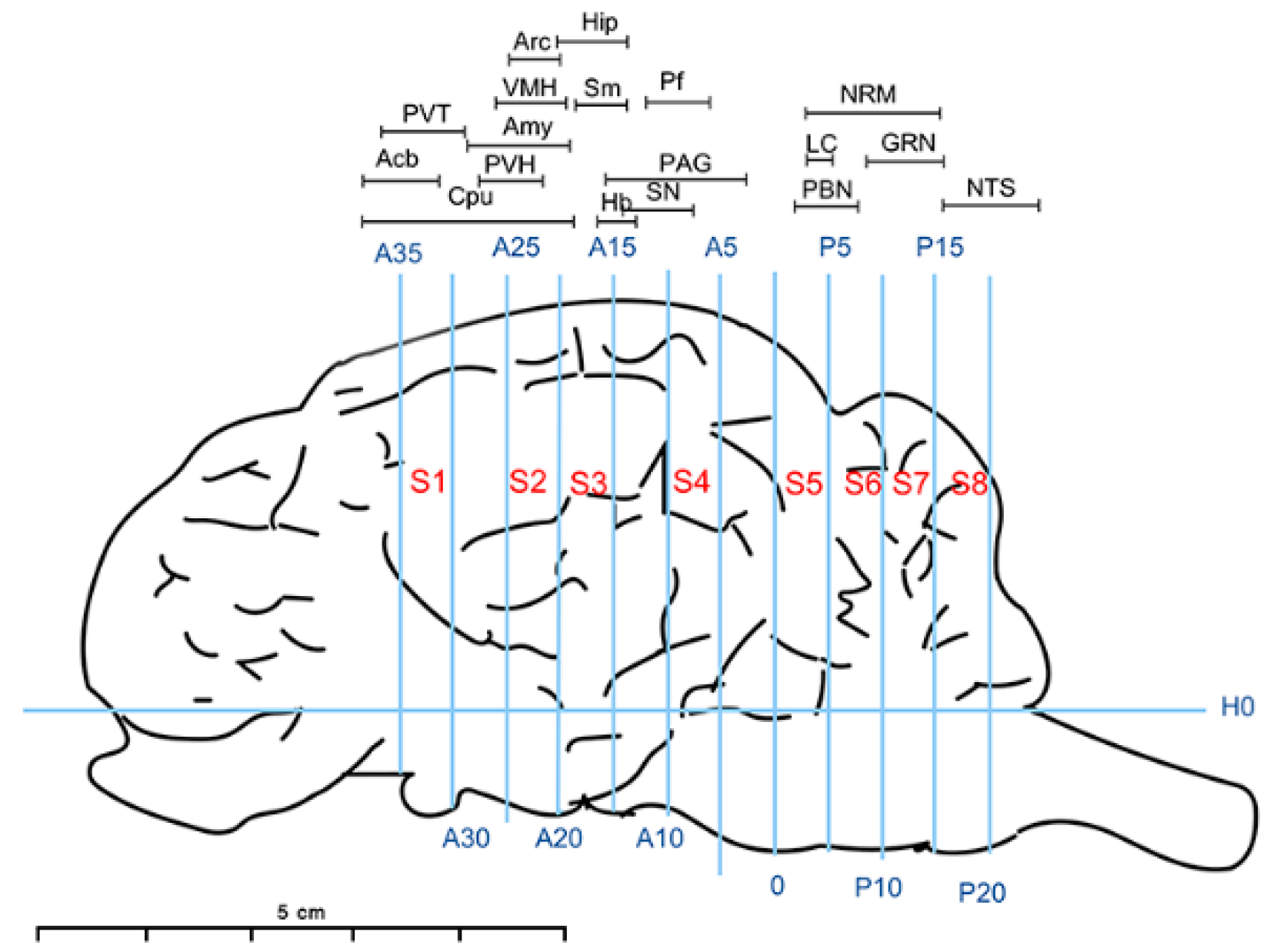 Animals 12 00664 g001 Animals 12 00664 g001