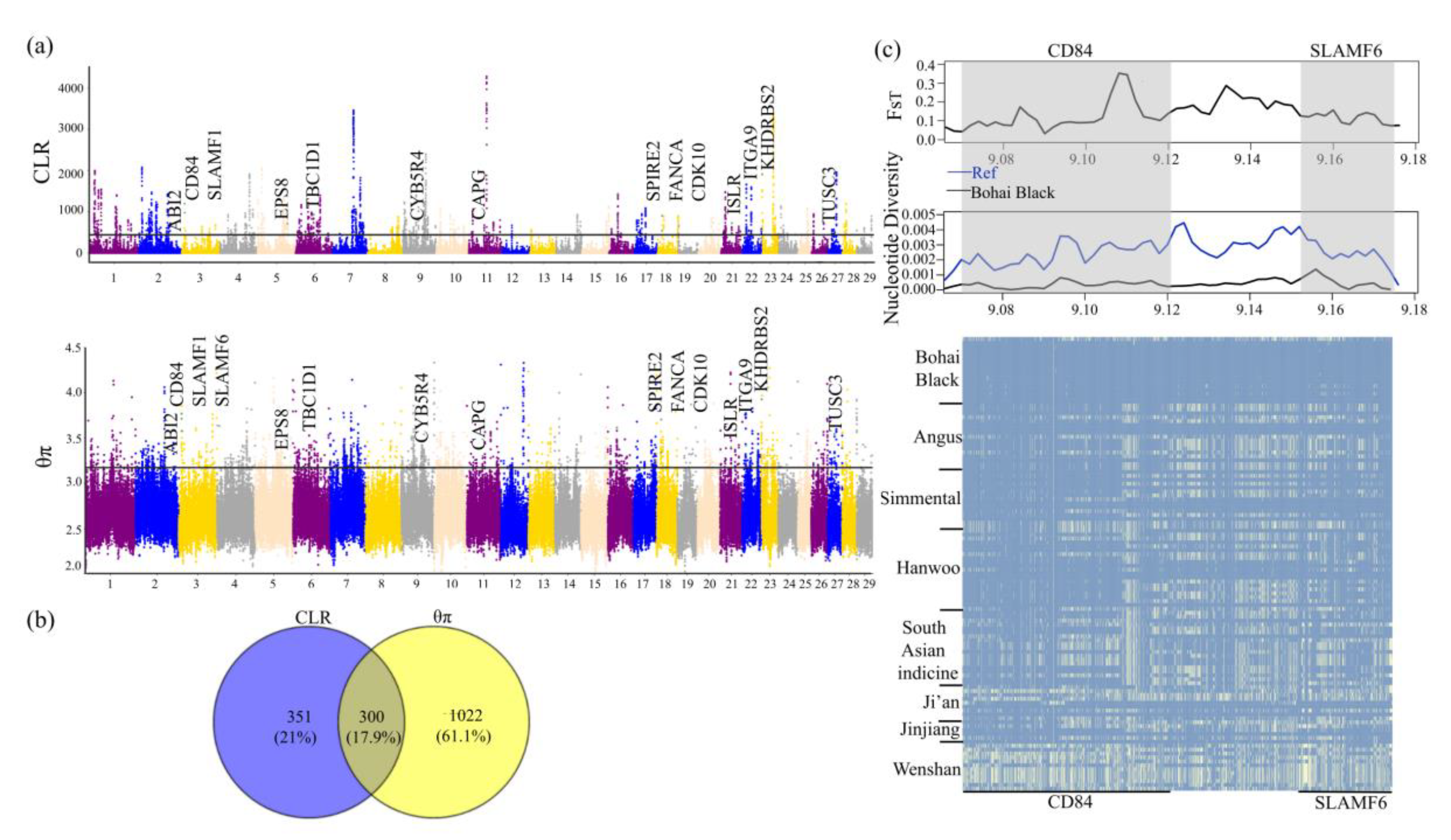 Animals 12 00665 g004 550