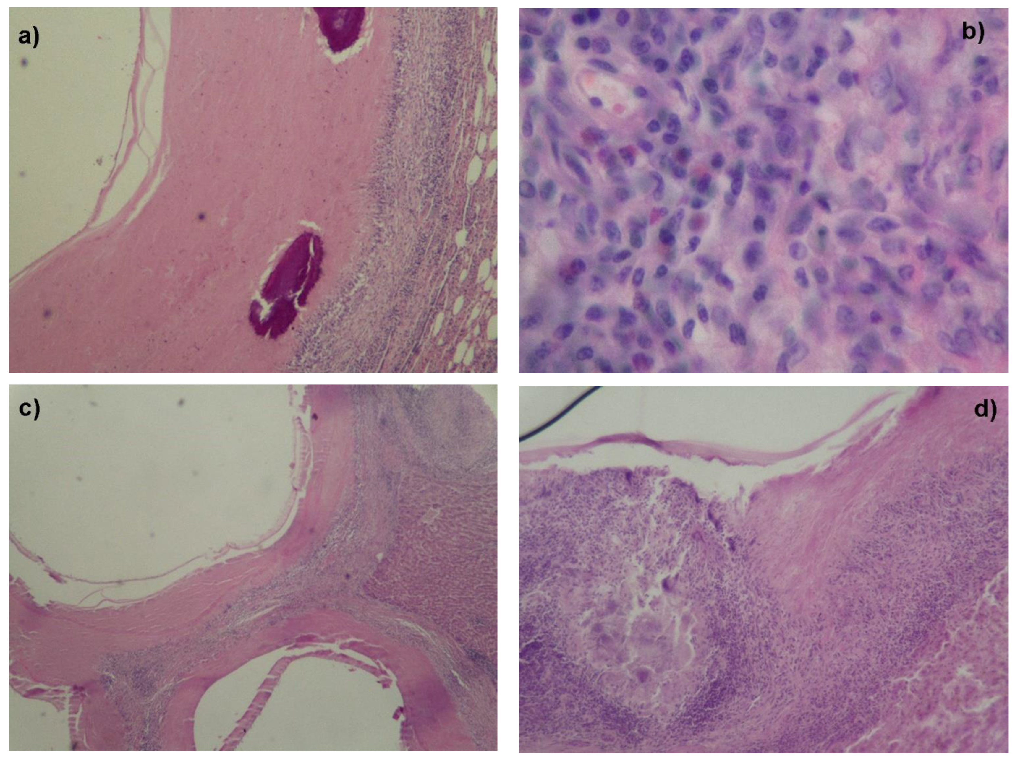 Animals 12 00679 g003