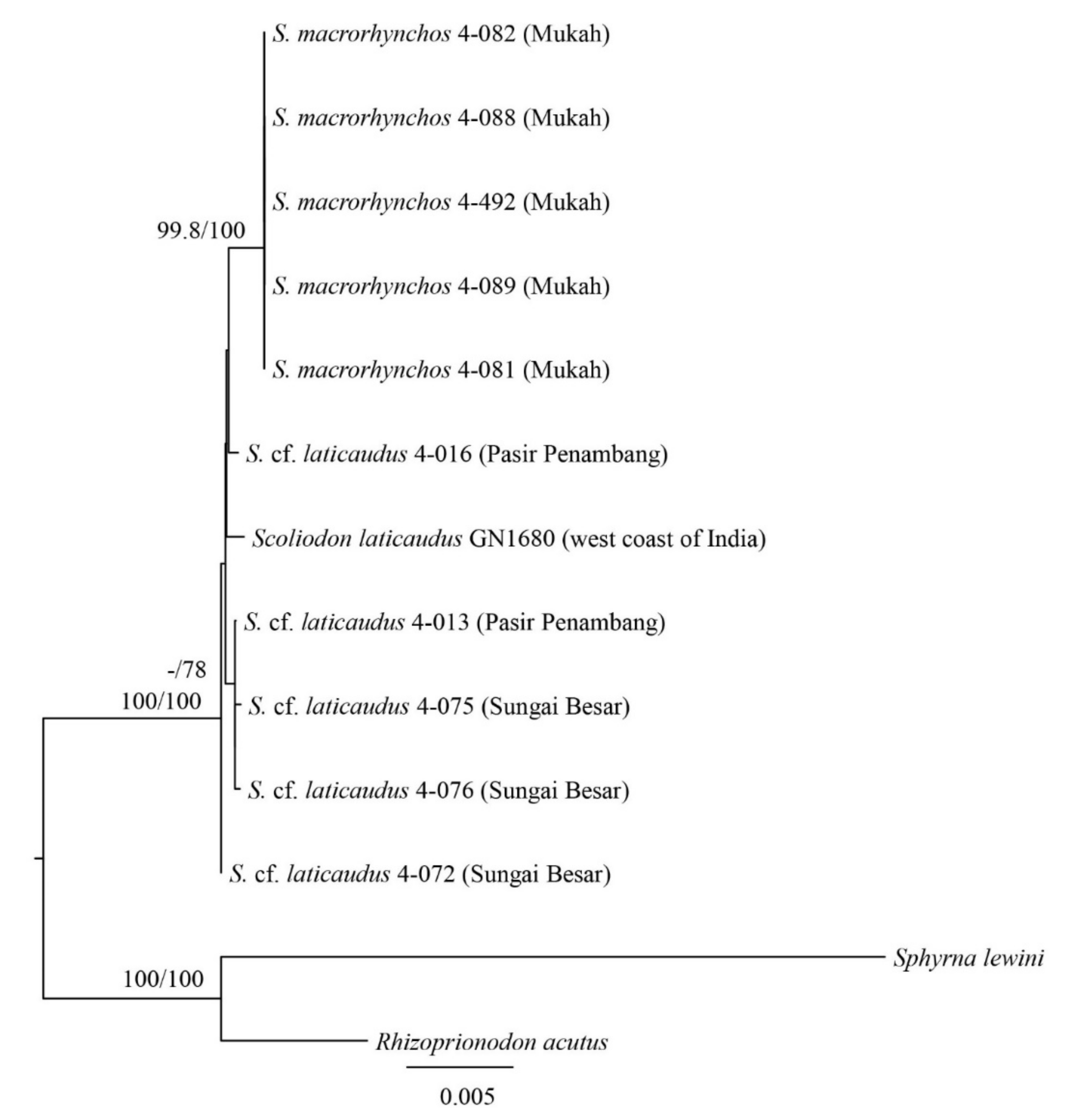 Animals 12 00681 g003