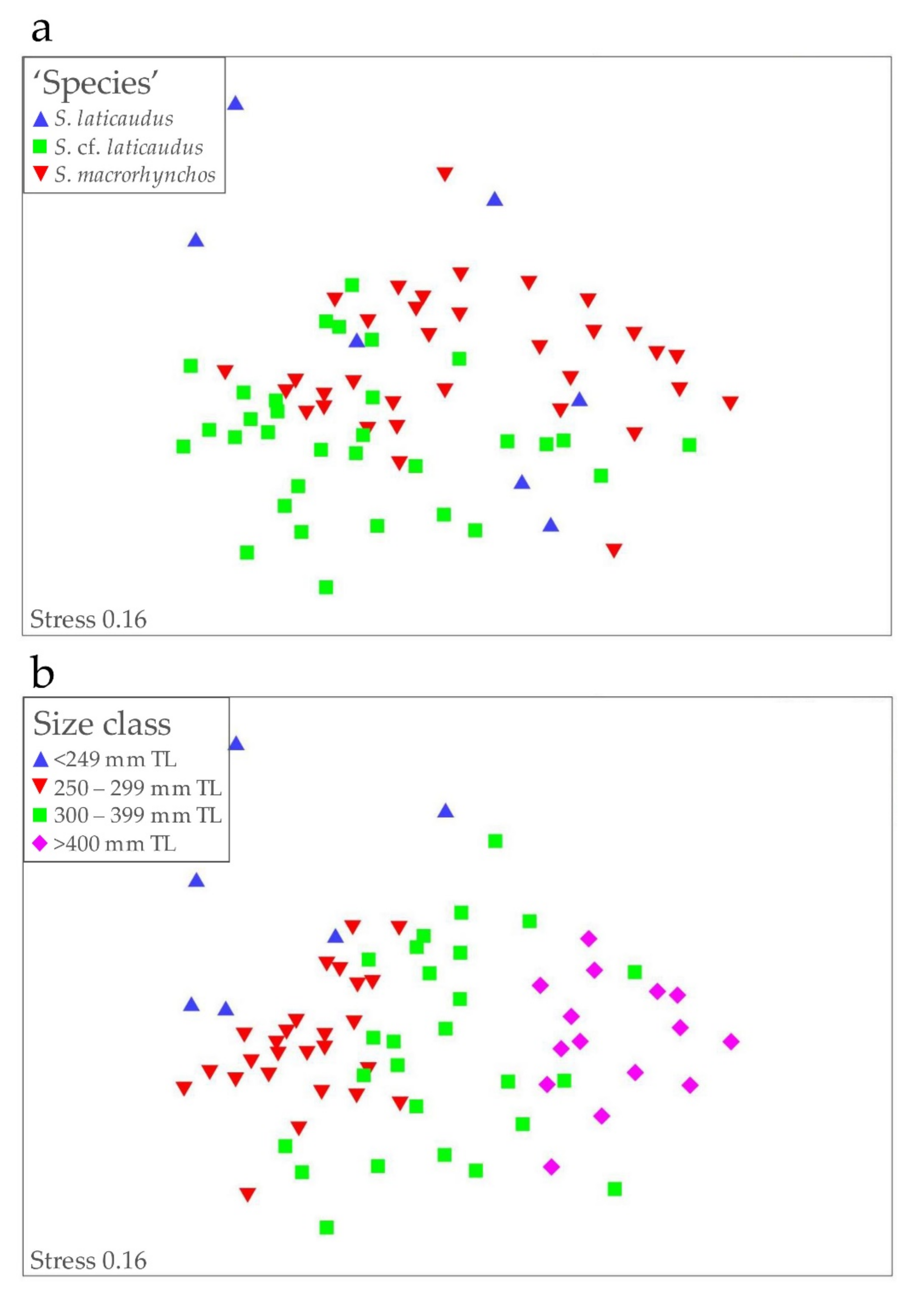 Animals 12 00681 g005
