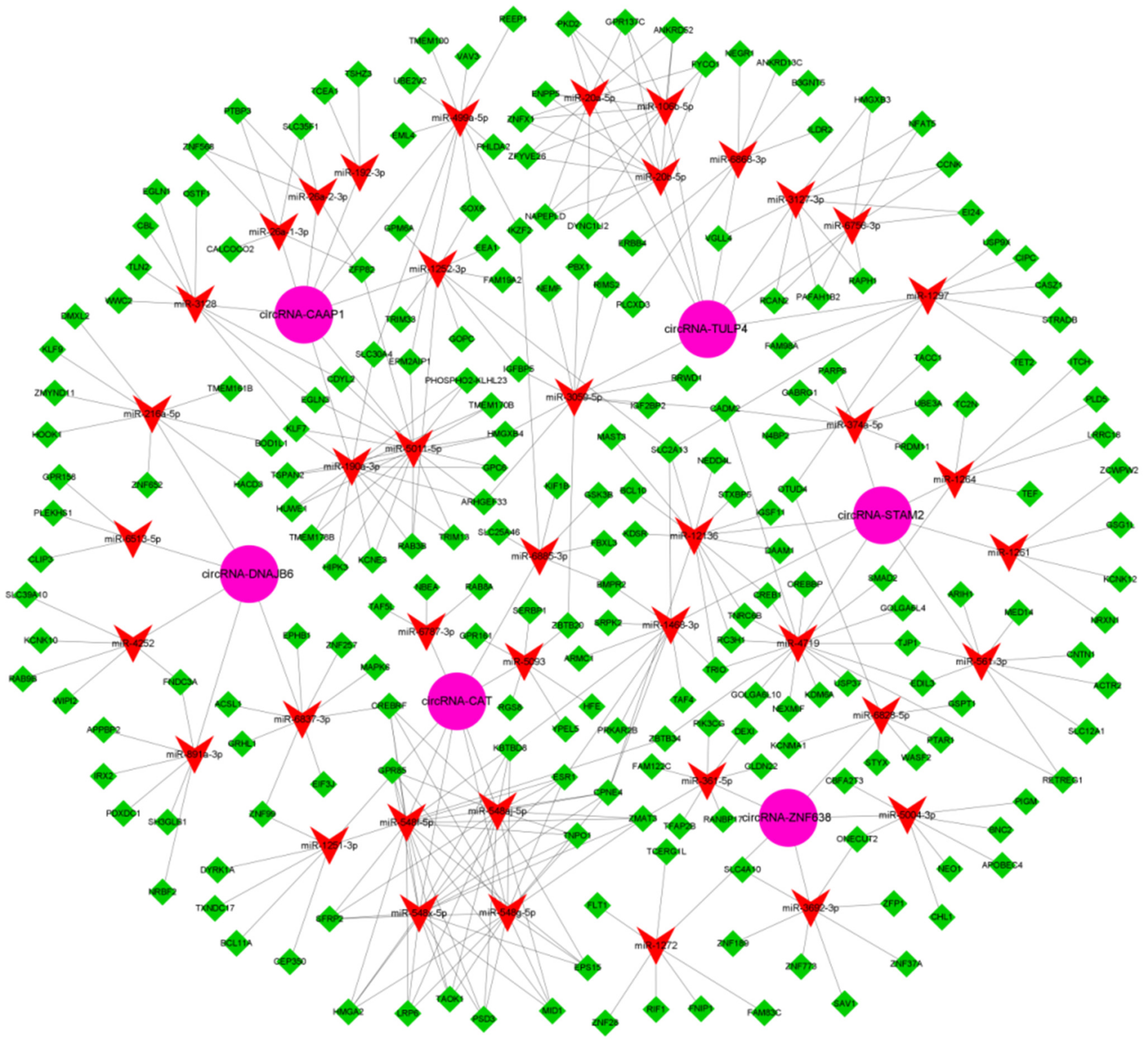 Animals 12 00694 g005