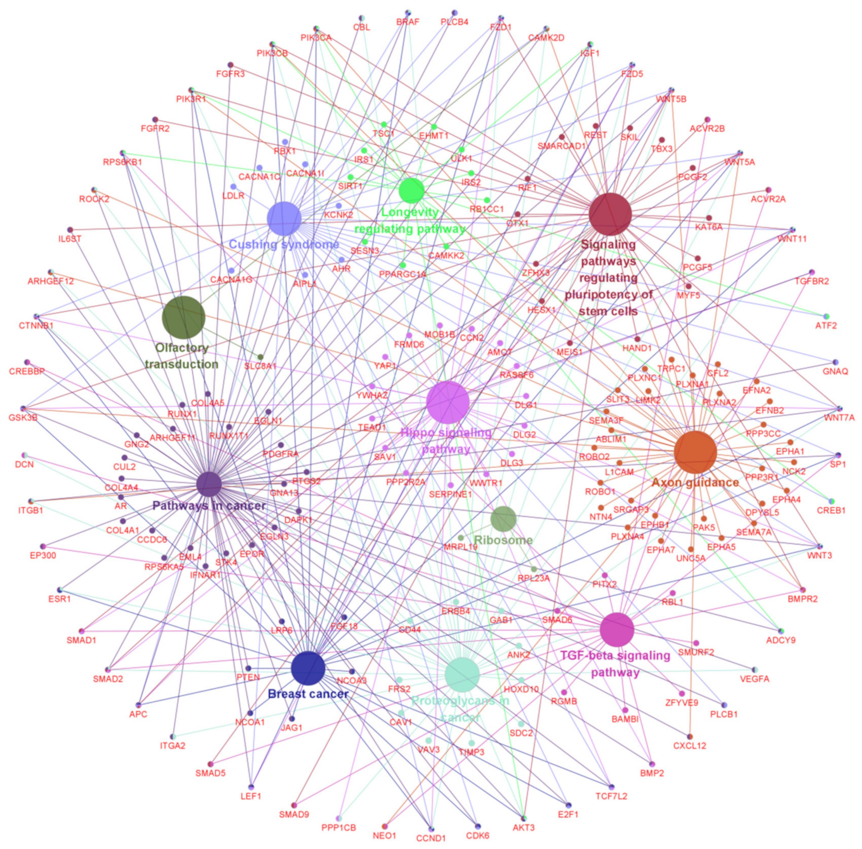 Animals 12 00694 g006