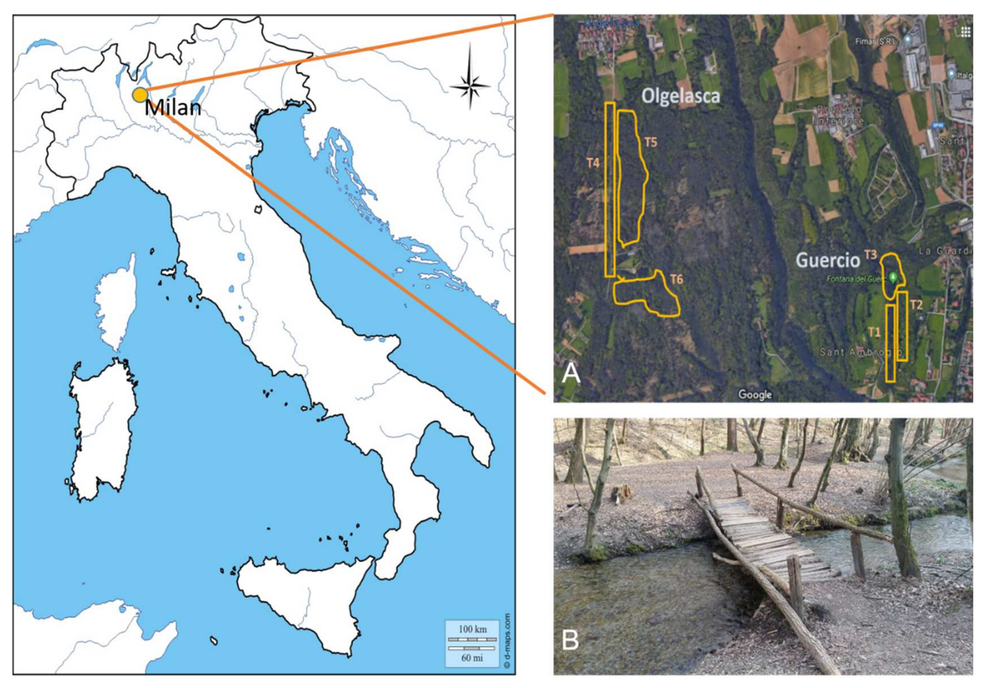 Animals 12 00696 g002