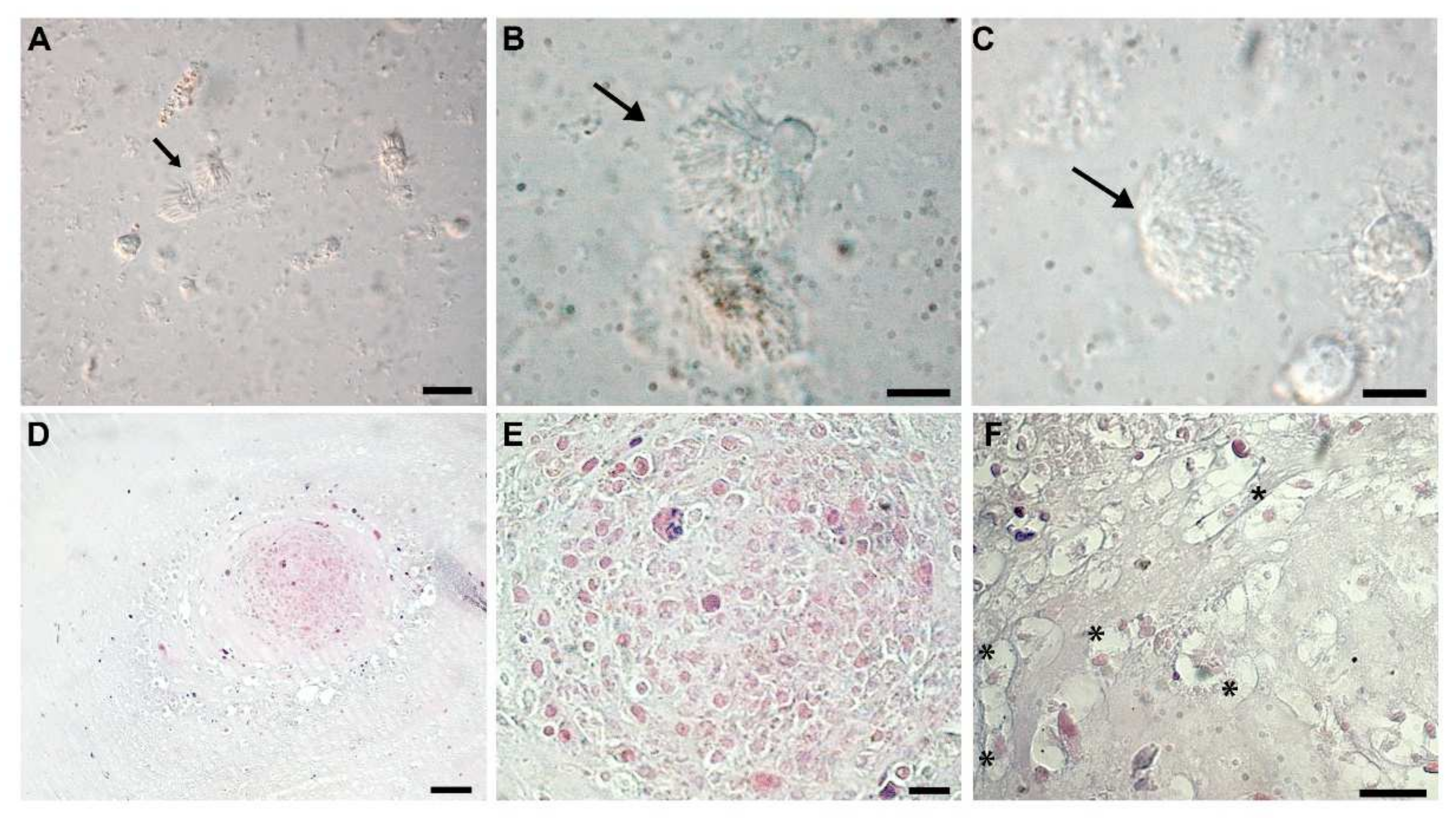 Animals 12 00696 g003