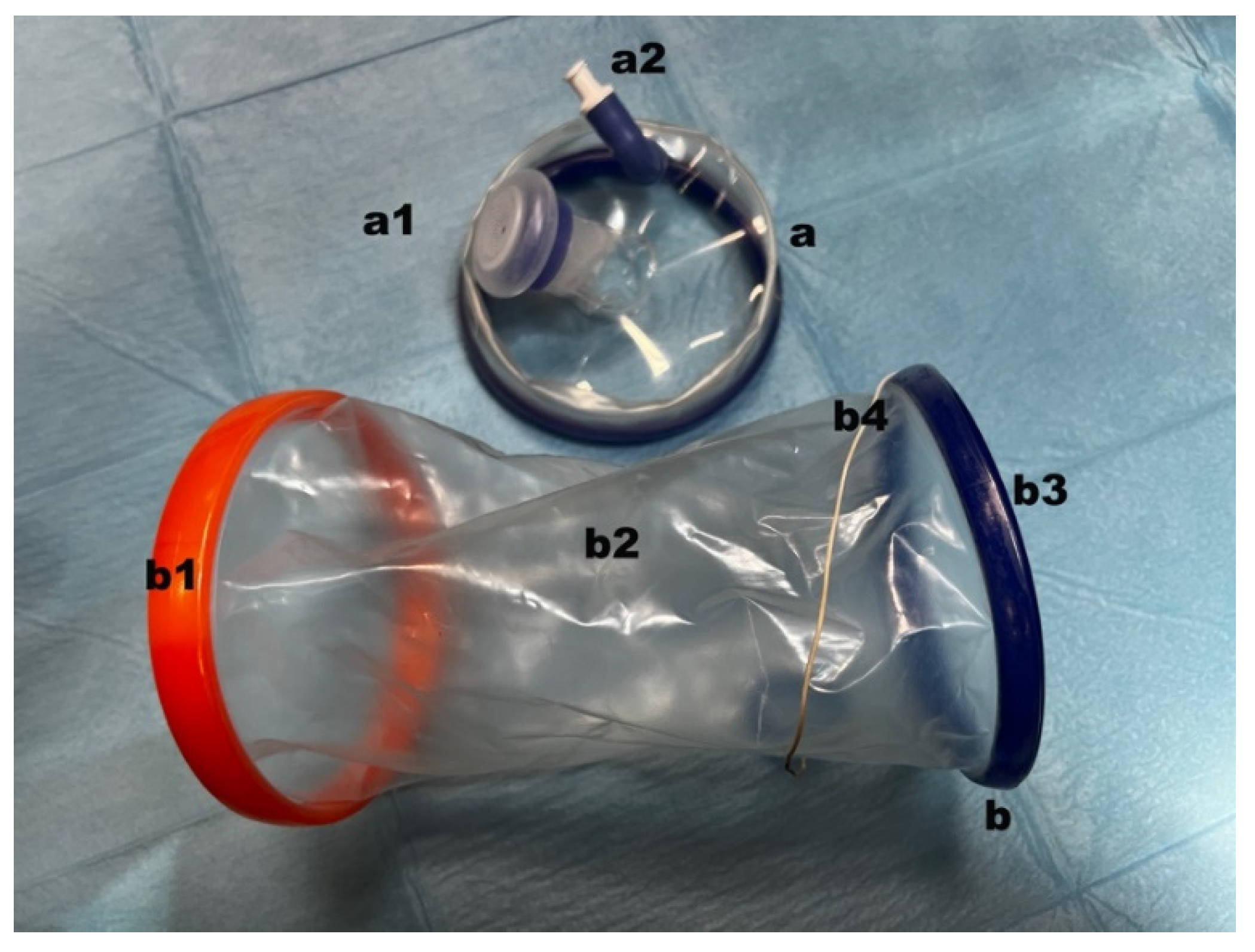 Animals 12 00700 g001