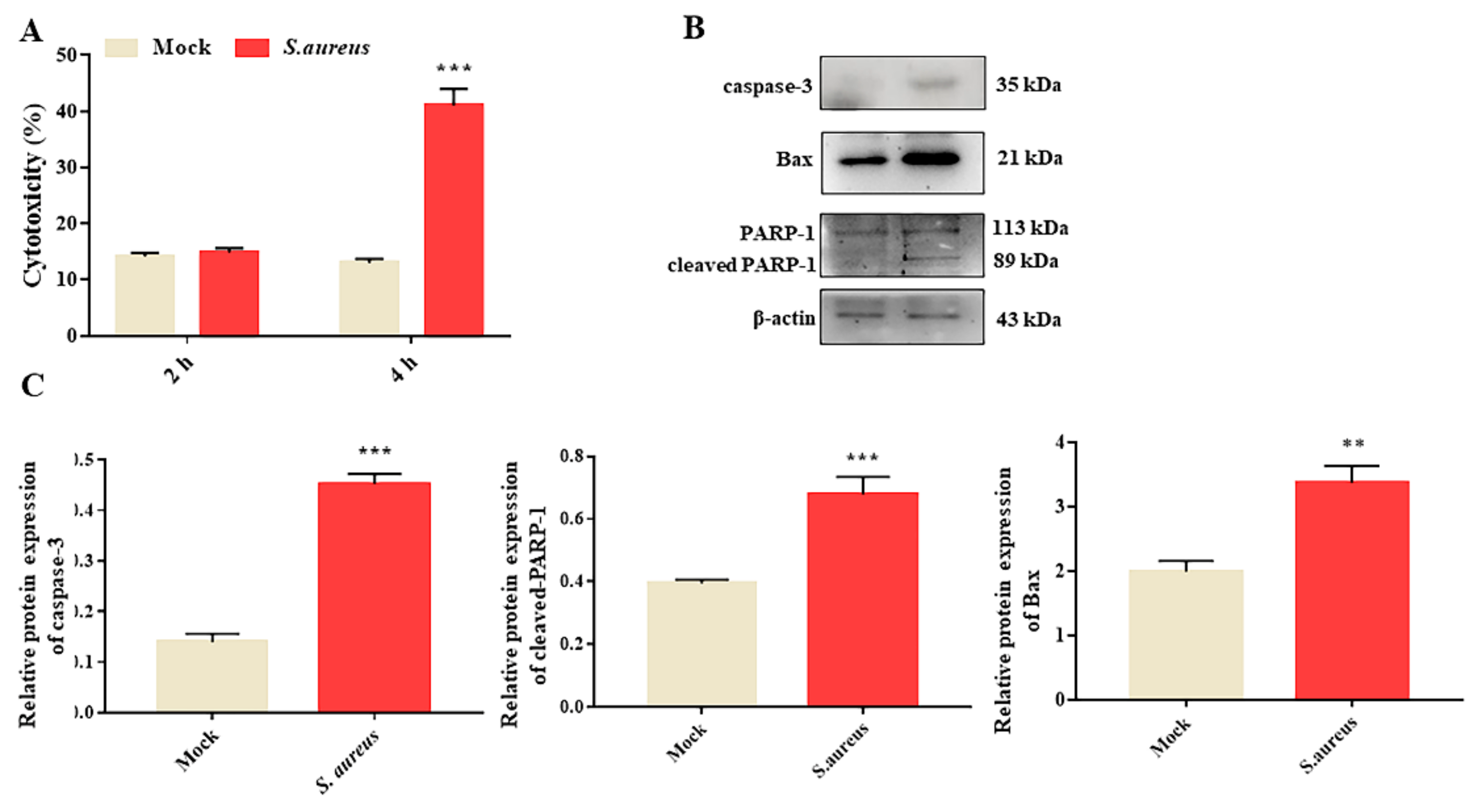 Animals 12 00711 g001 550