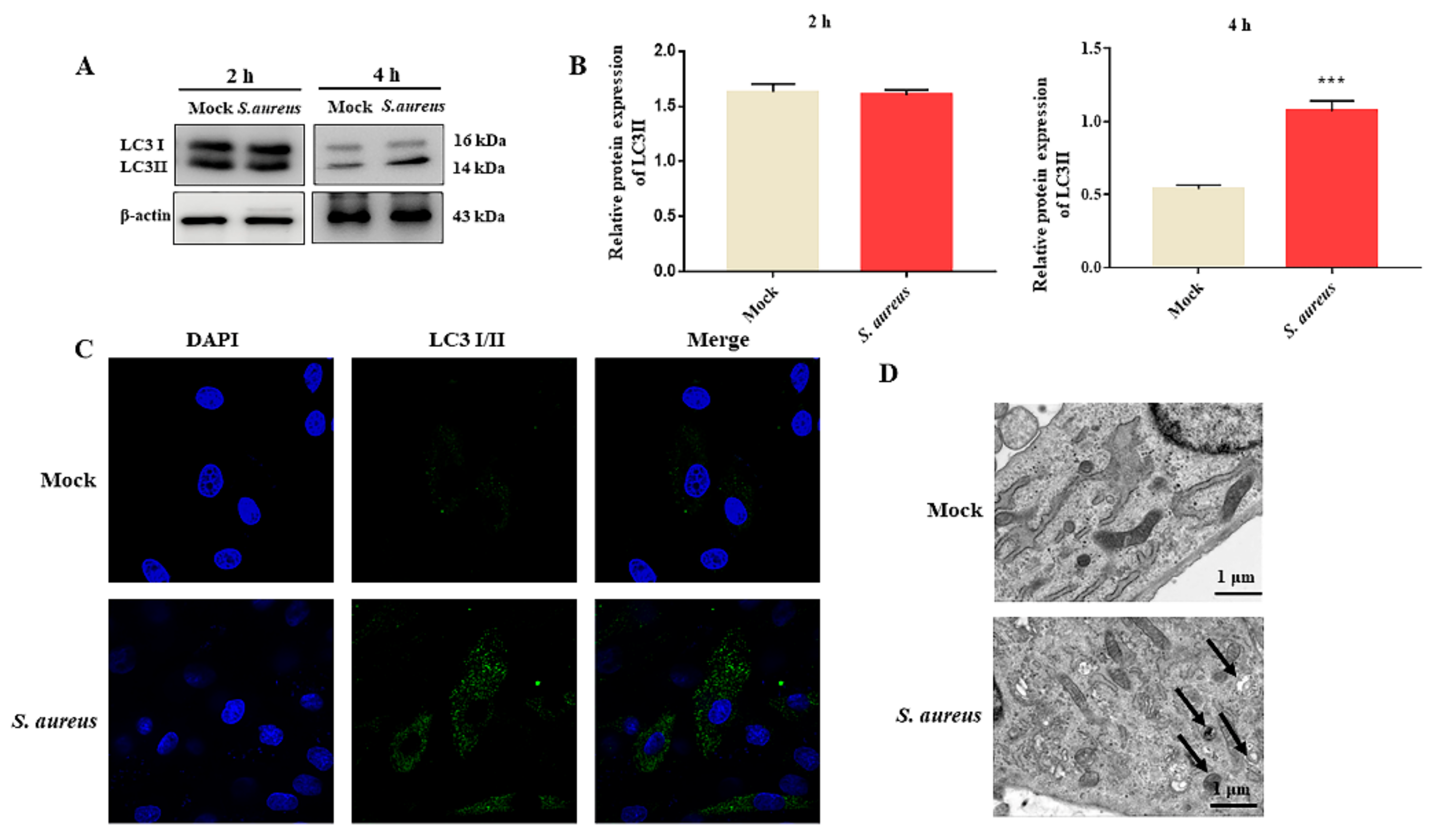 Animals 12 00711 g002 550