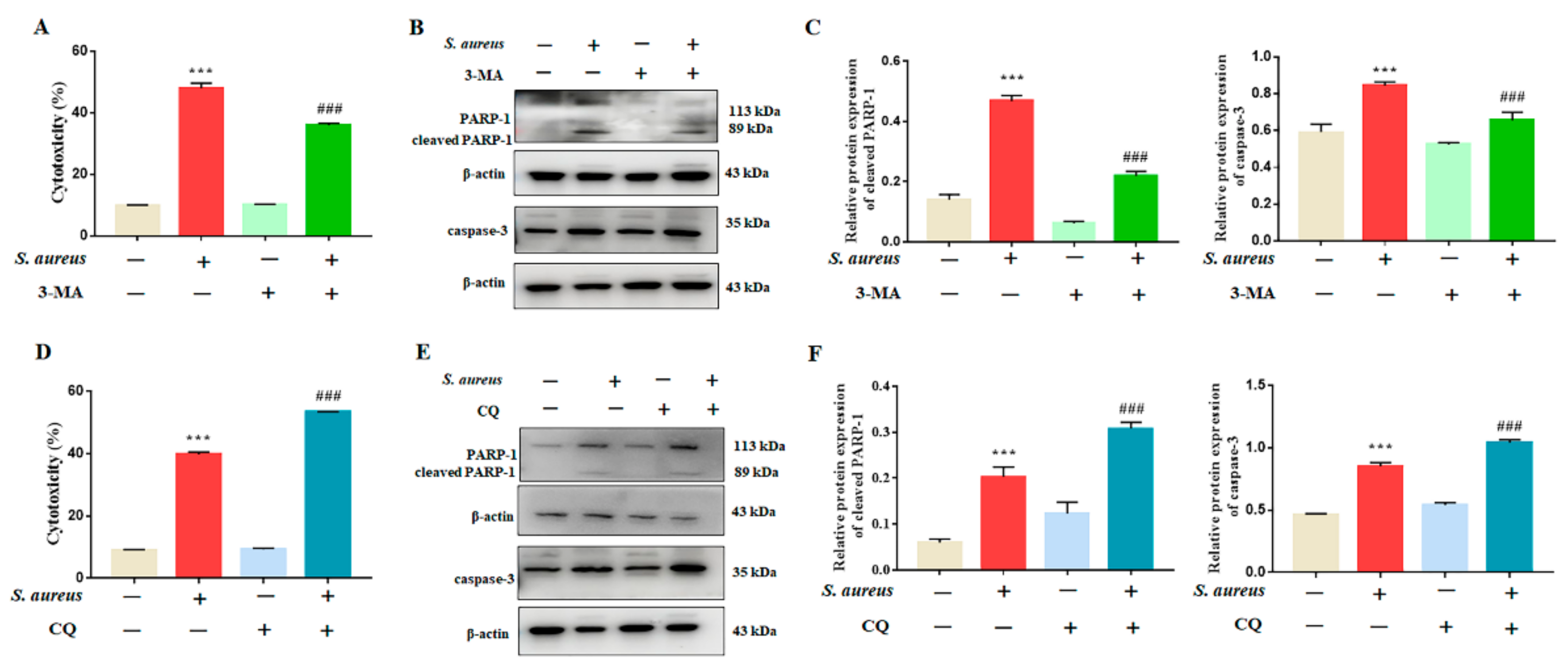 Animals 12 00711 g003 550