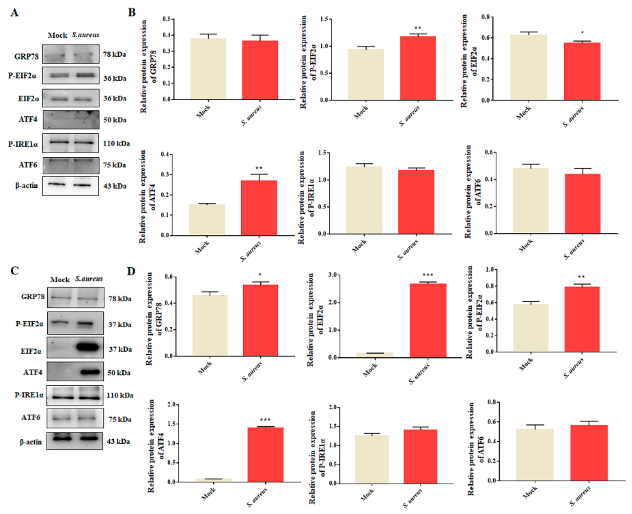 Animals 12 00711 g004 550