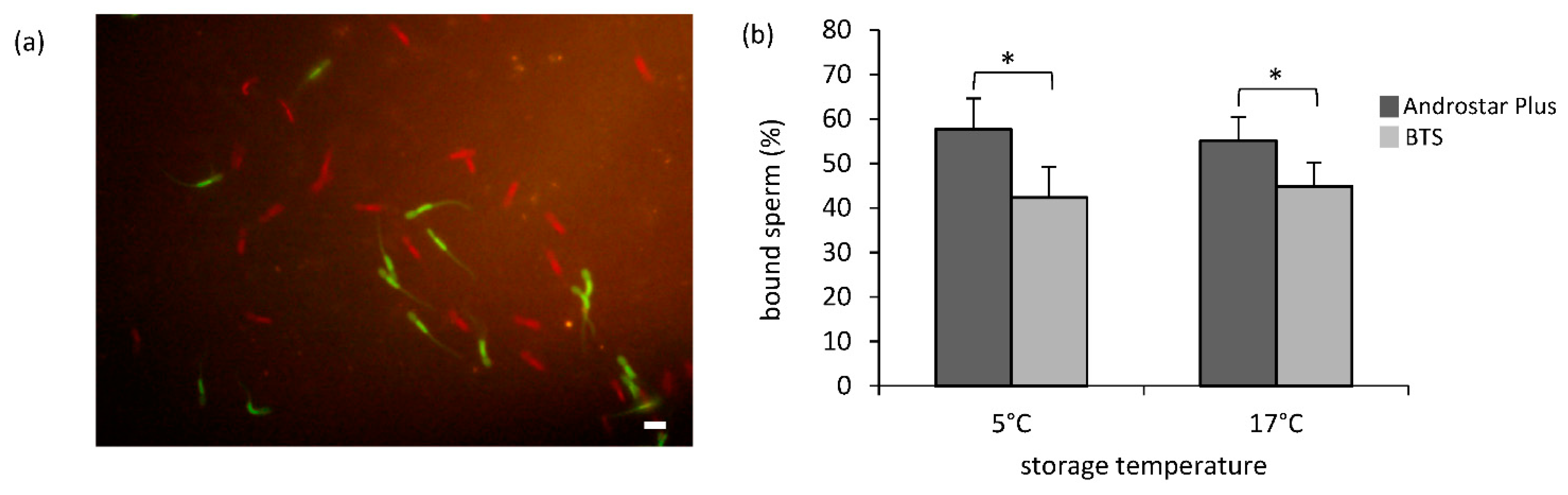 Animals 12 00712 g003