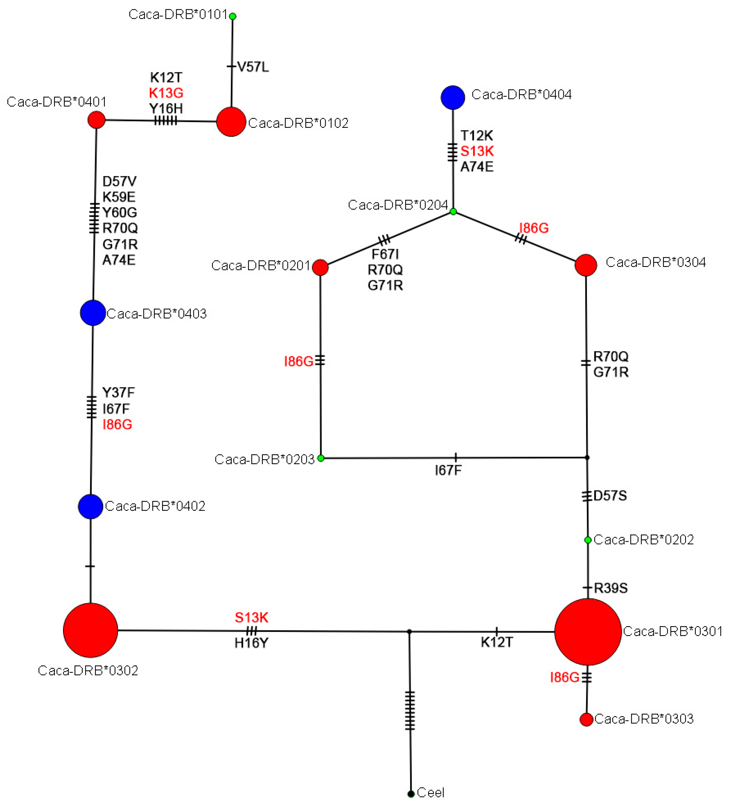 Animals 12 00723 g002 550