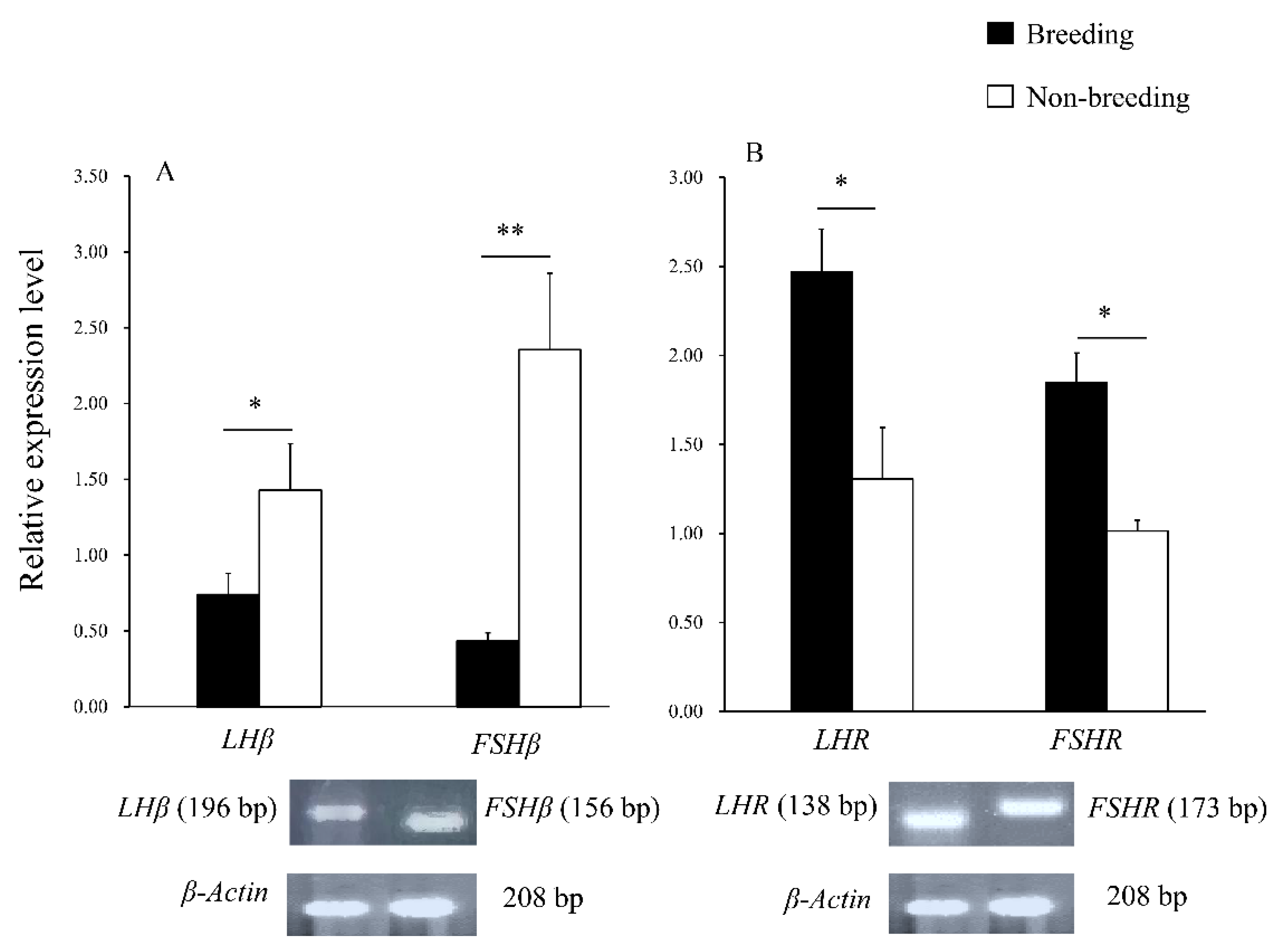 Animals 12 00725 g004