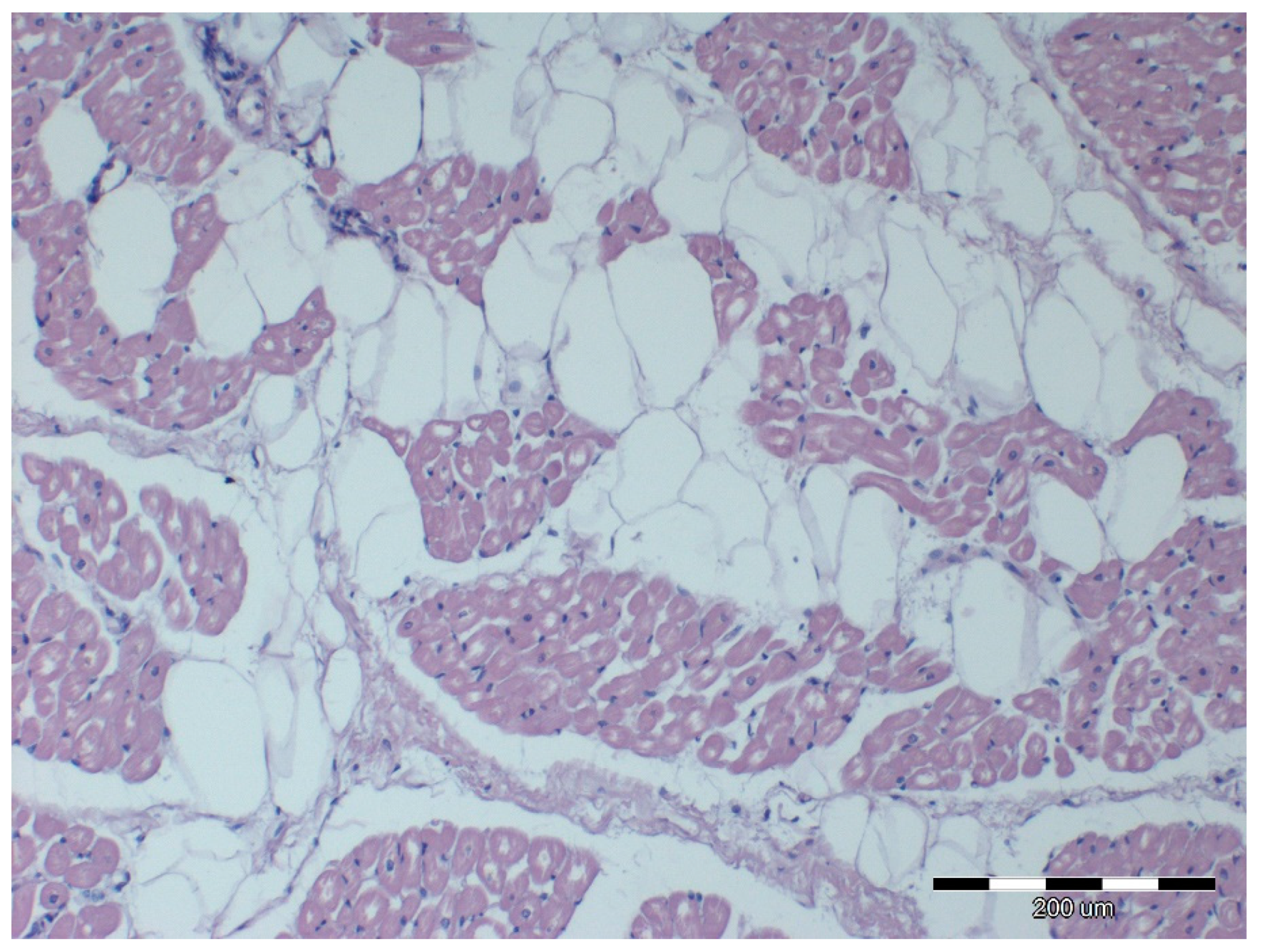 Animals 12 00732 g002