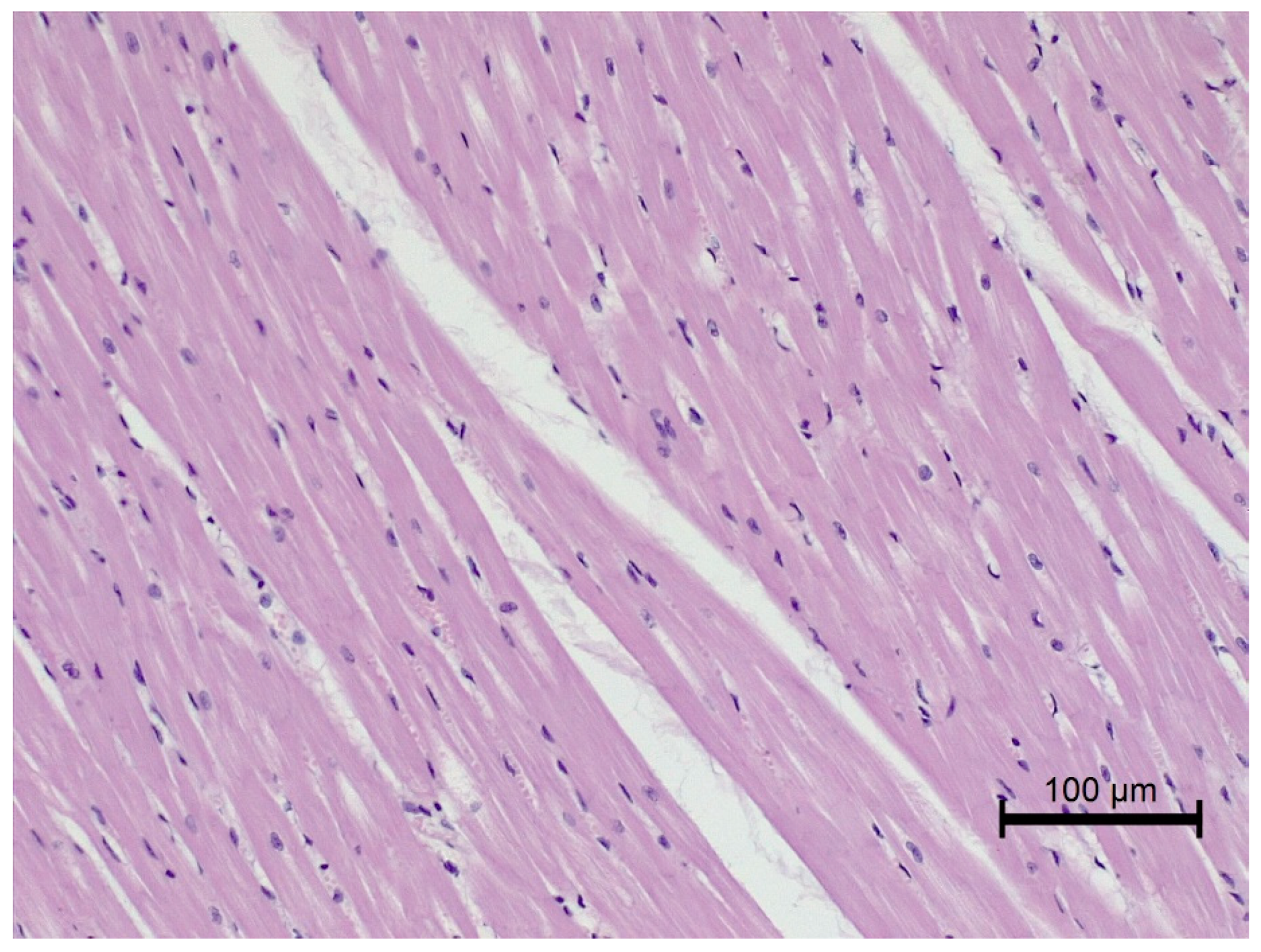 Animals 12 00732 g003