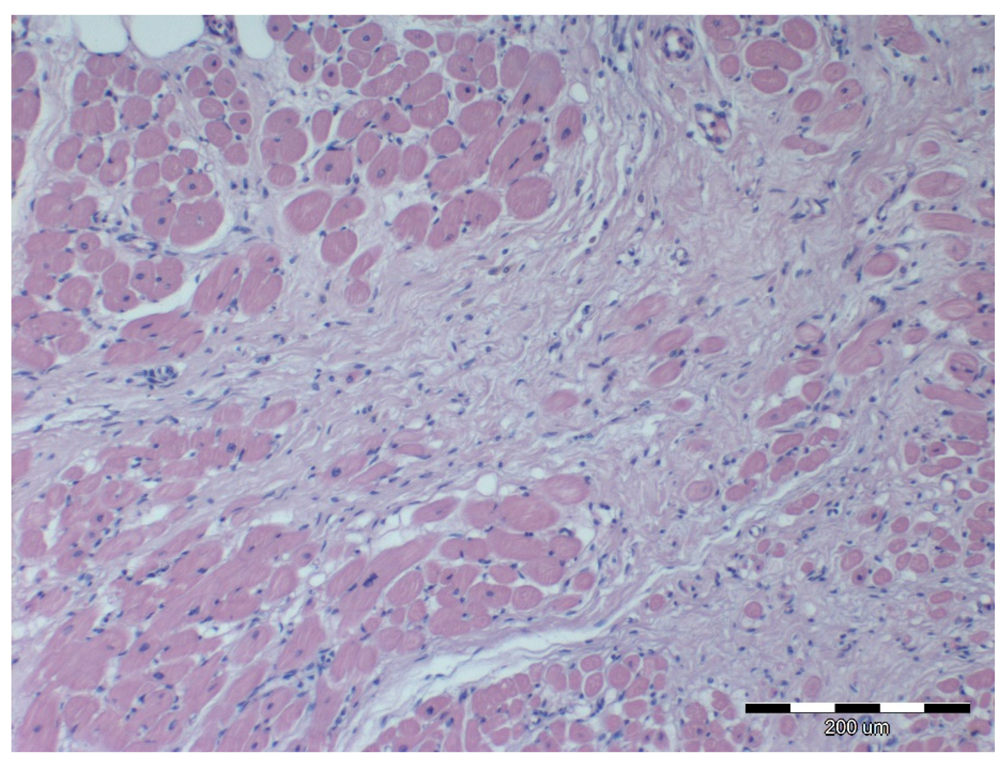 Animals 12 00732 g004