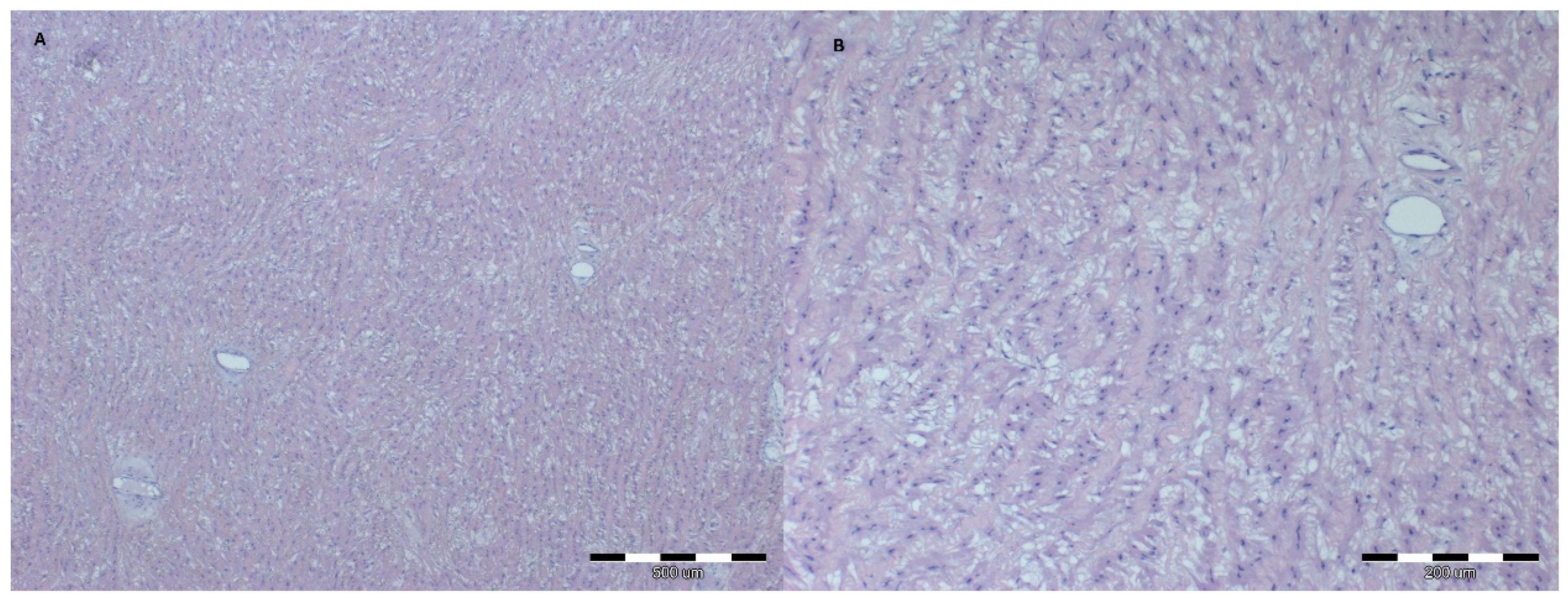 Animals 12 00732 g005