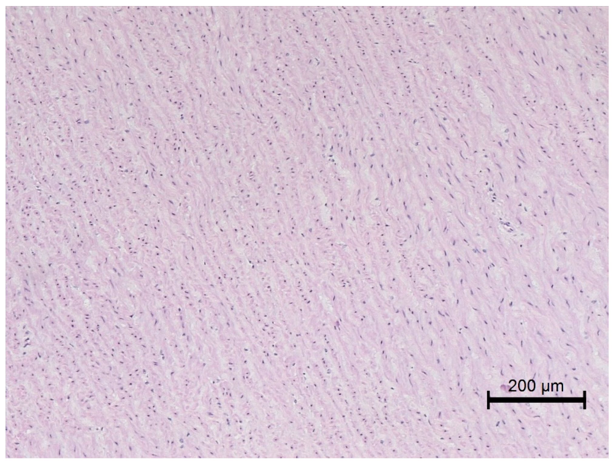 Animals 12 00732 g006