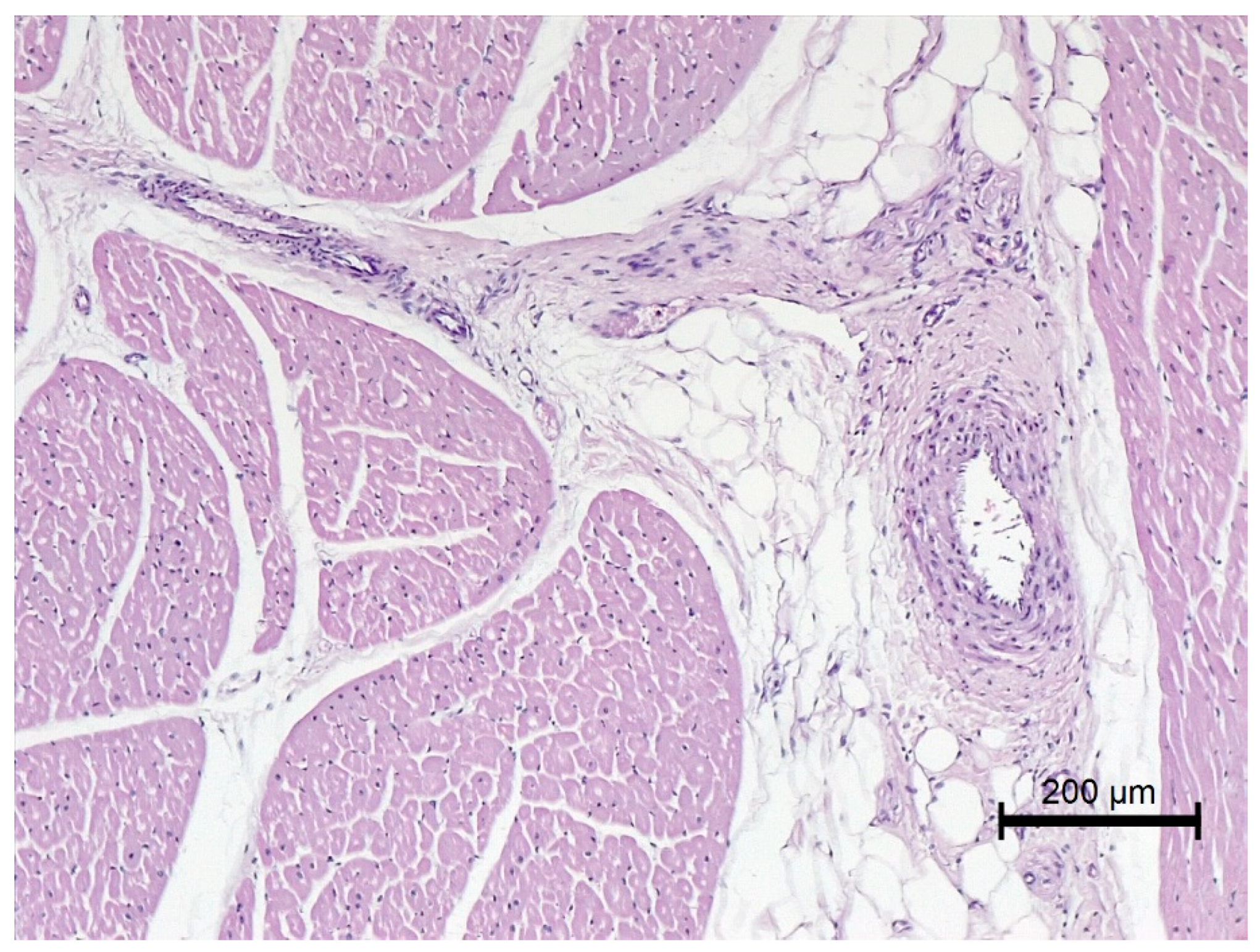 Animals 12 00732 g007