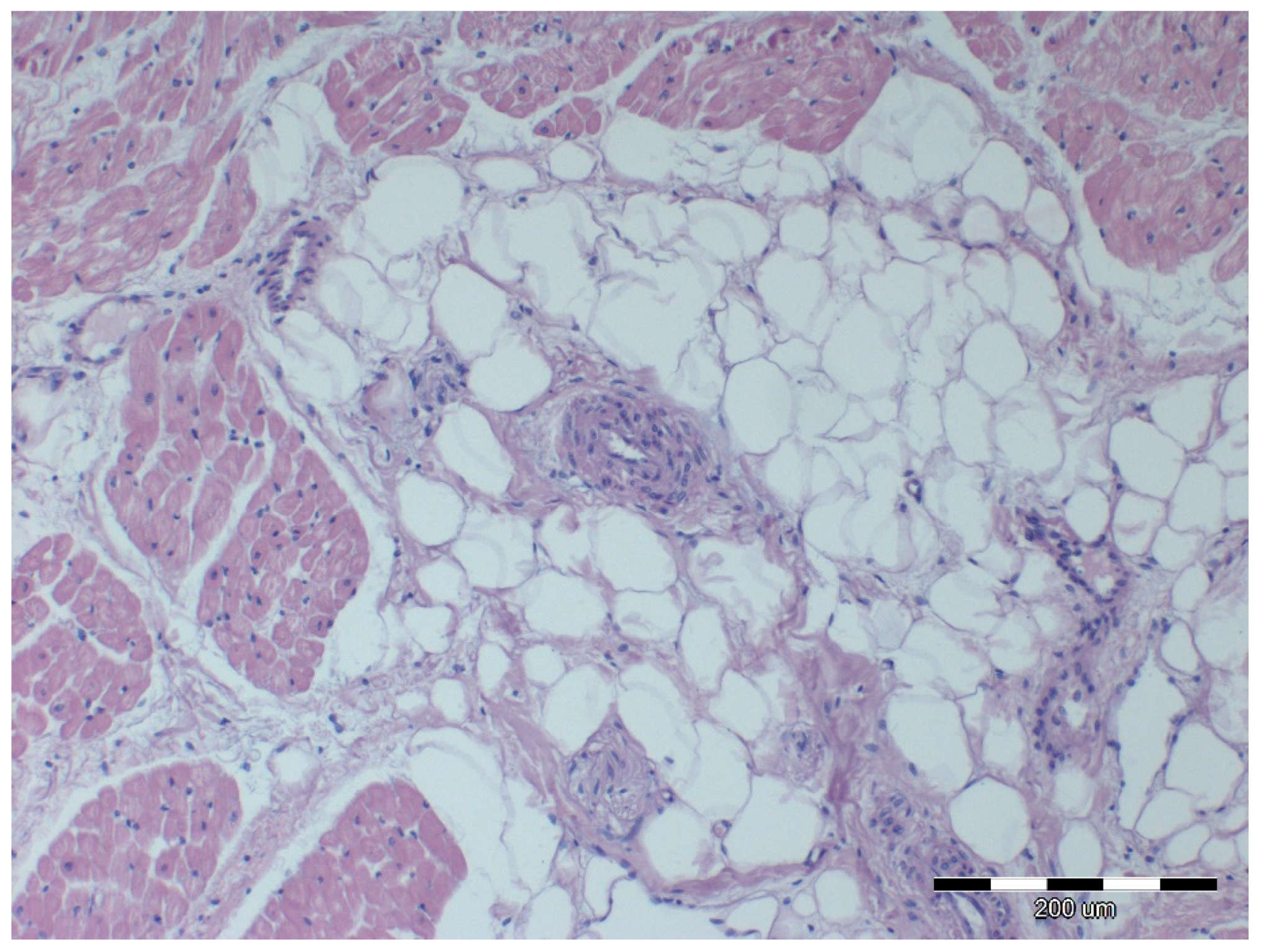 Animals 12 00732 g008