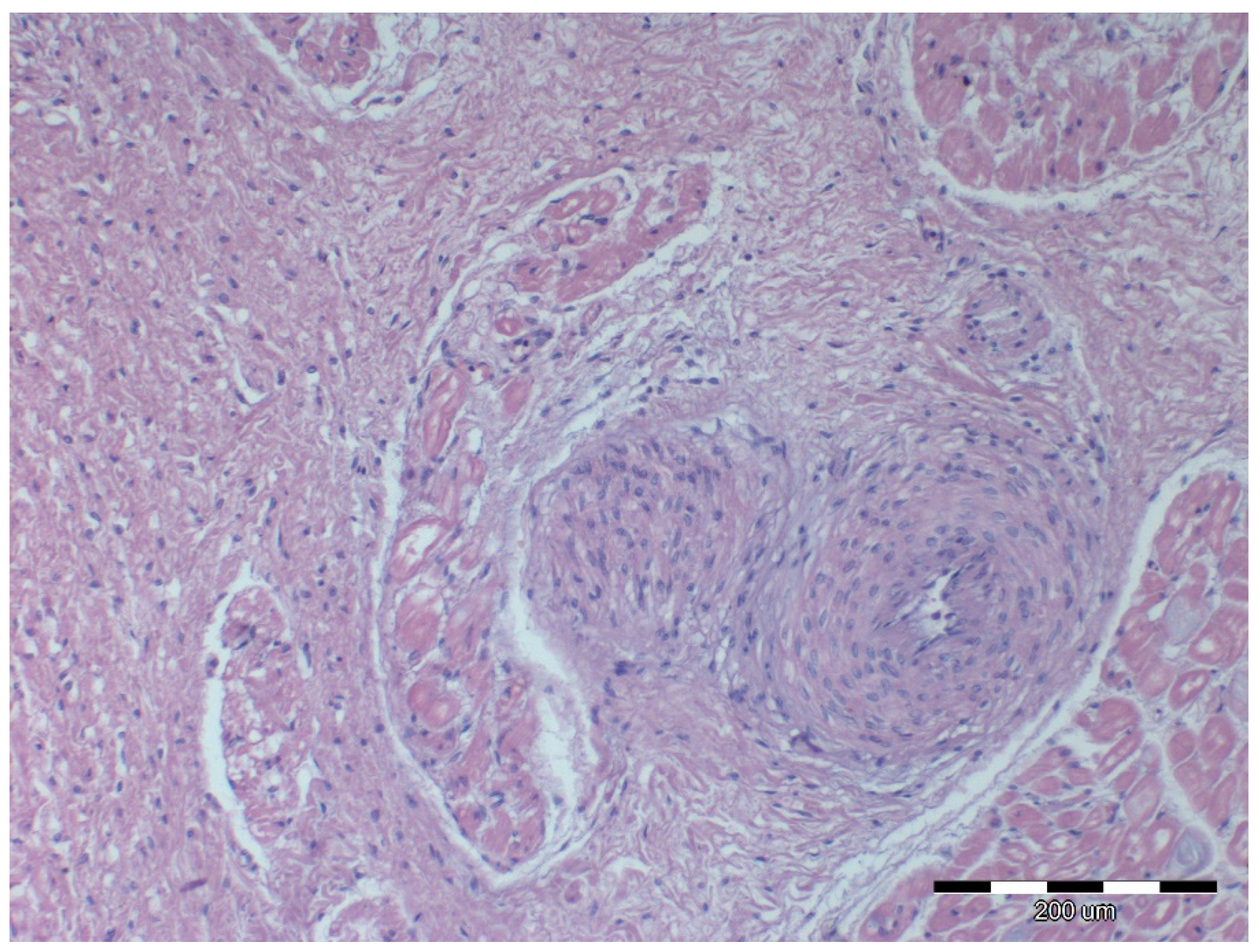 Animals 12 00732 g009