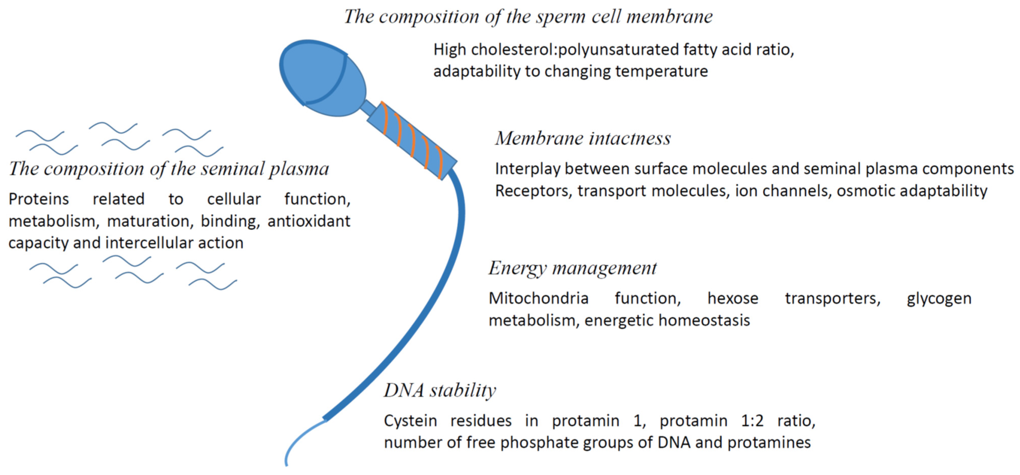 Animals 12 00733 g001