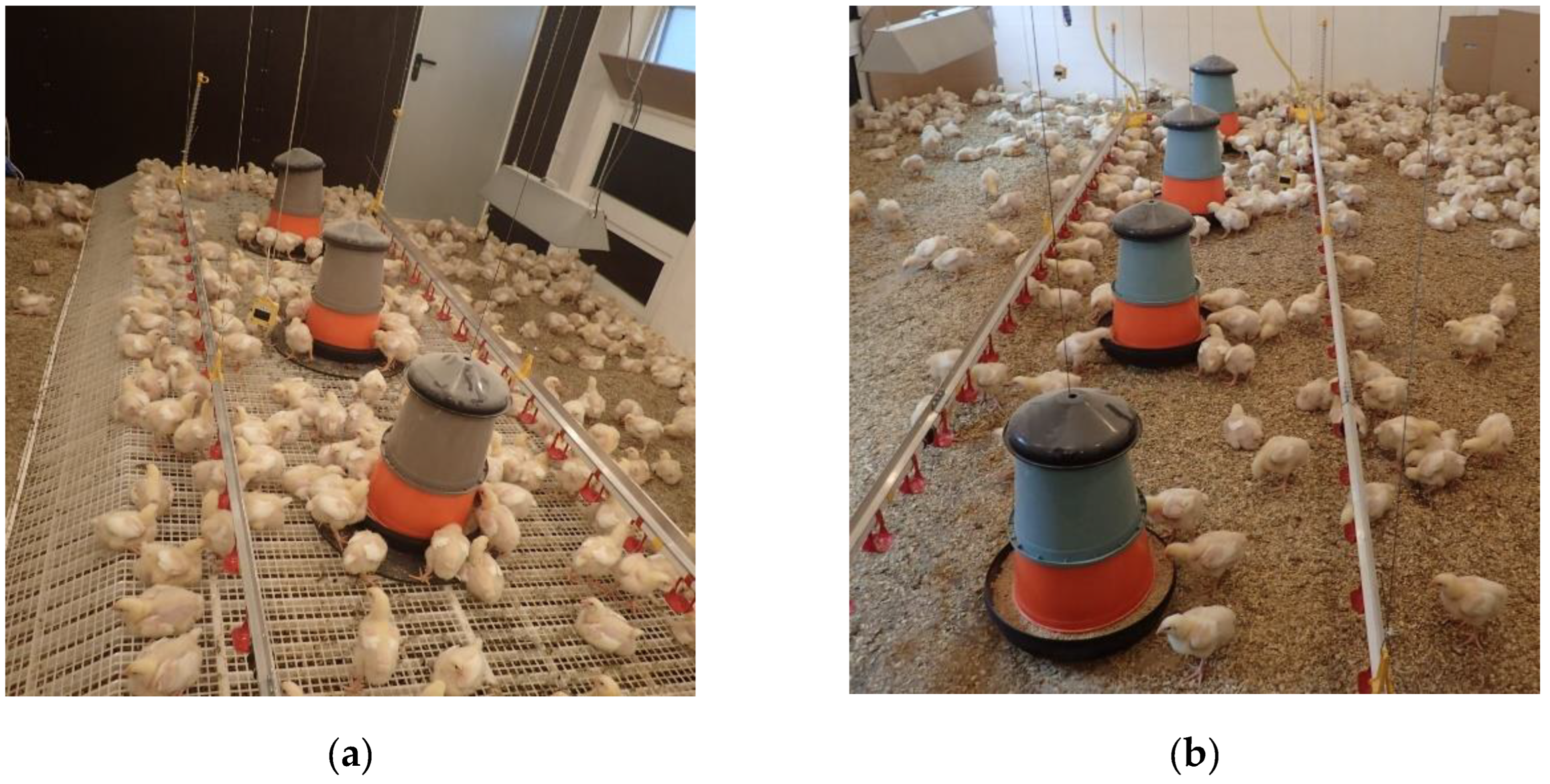 Animals 12 00735 g001